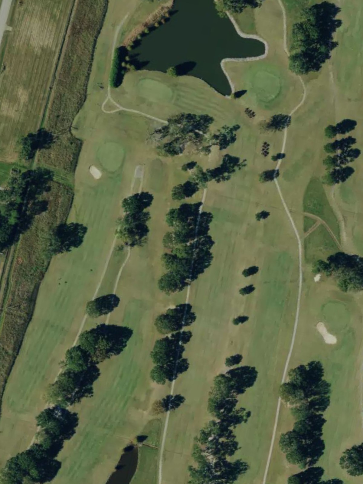 Hole 15 satellite