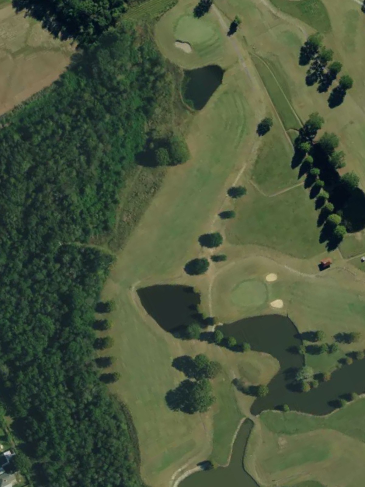 Hole 8 satellite