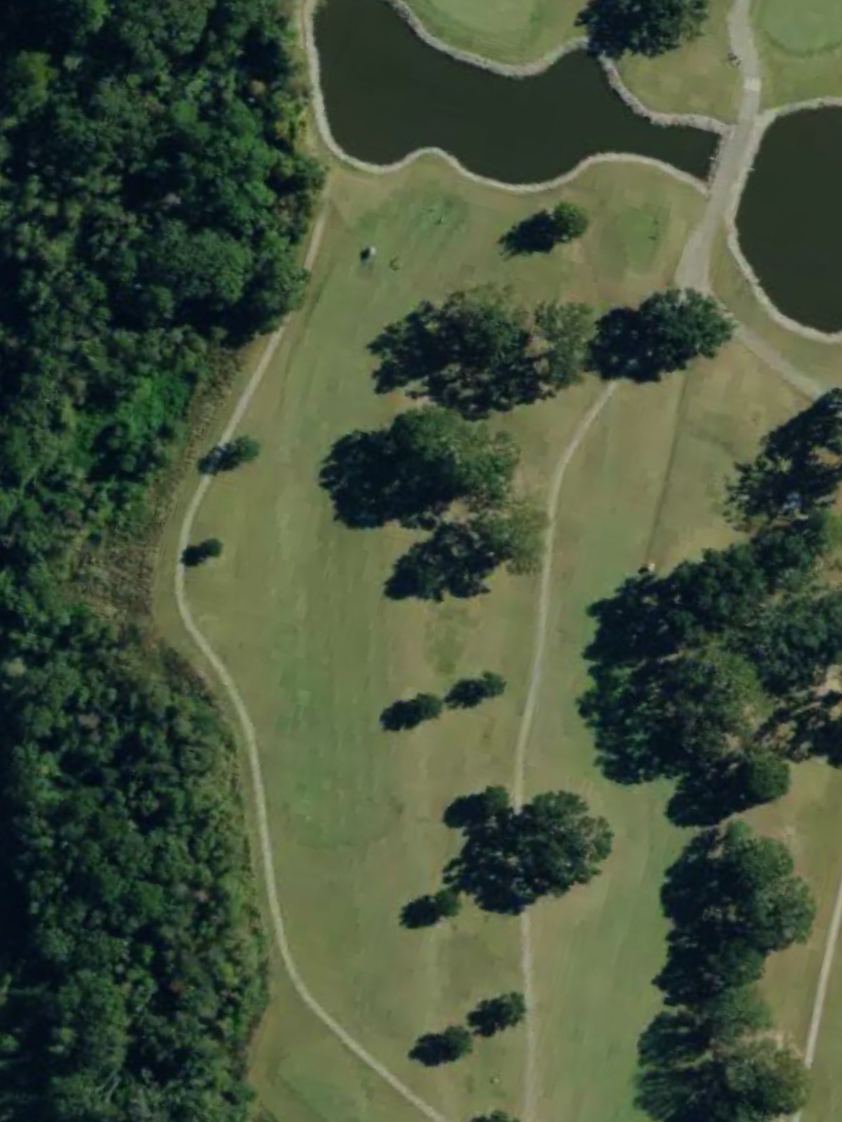 Hole 9 satellite