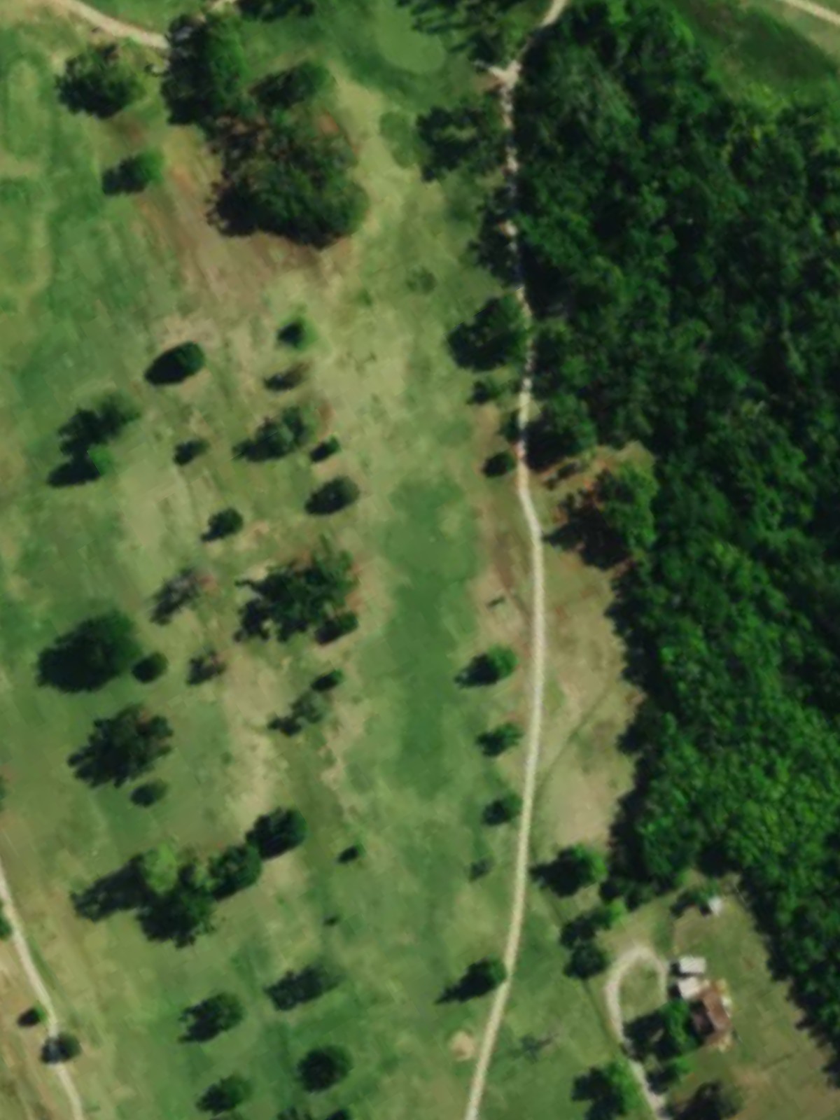 Hole 12 satellite