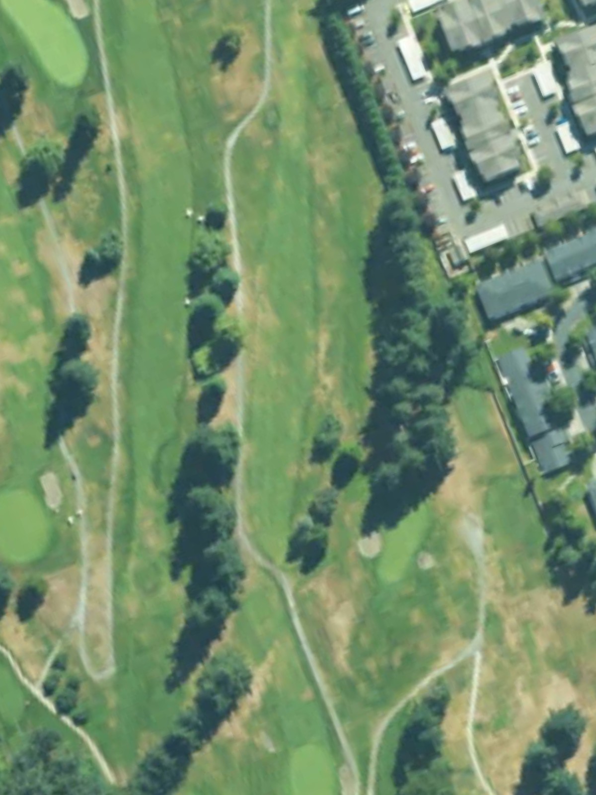 Hole 1 satellite