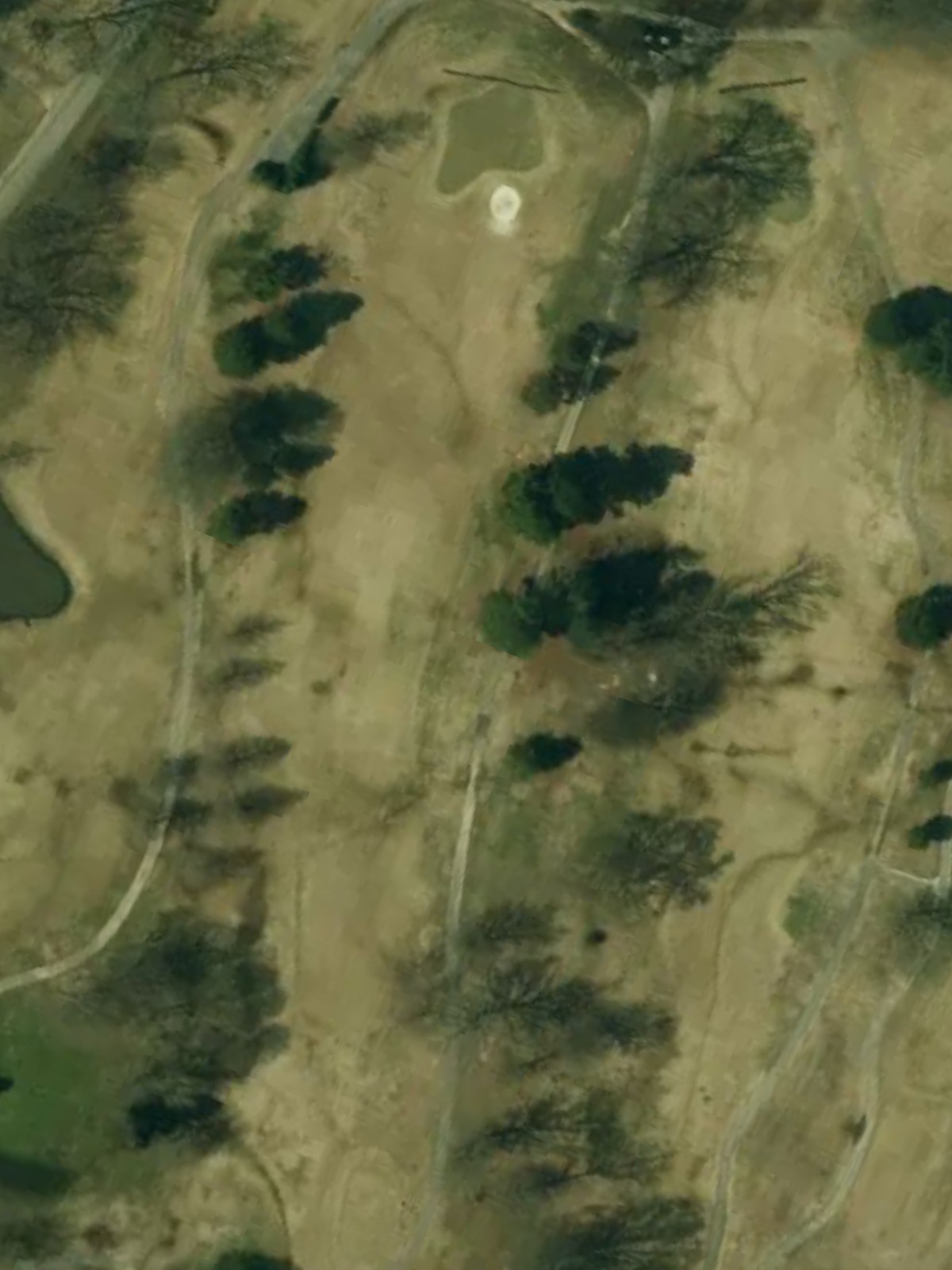 Hole 6 satellite