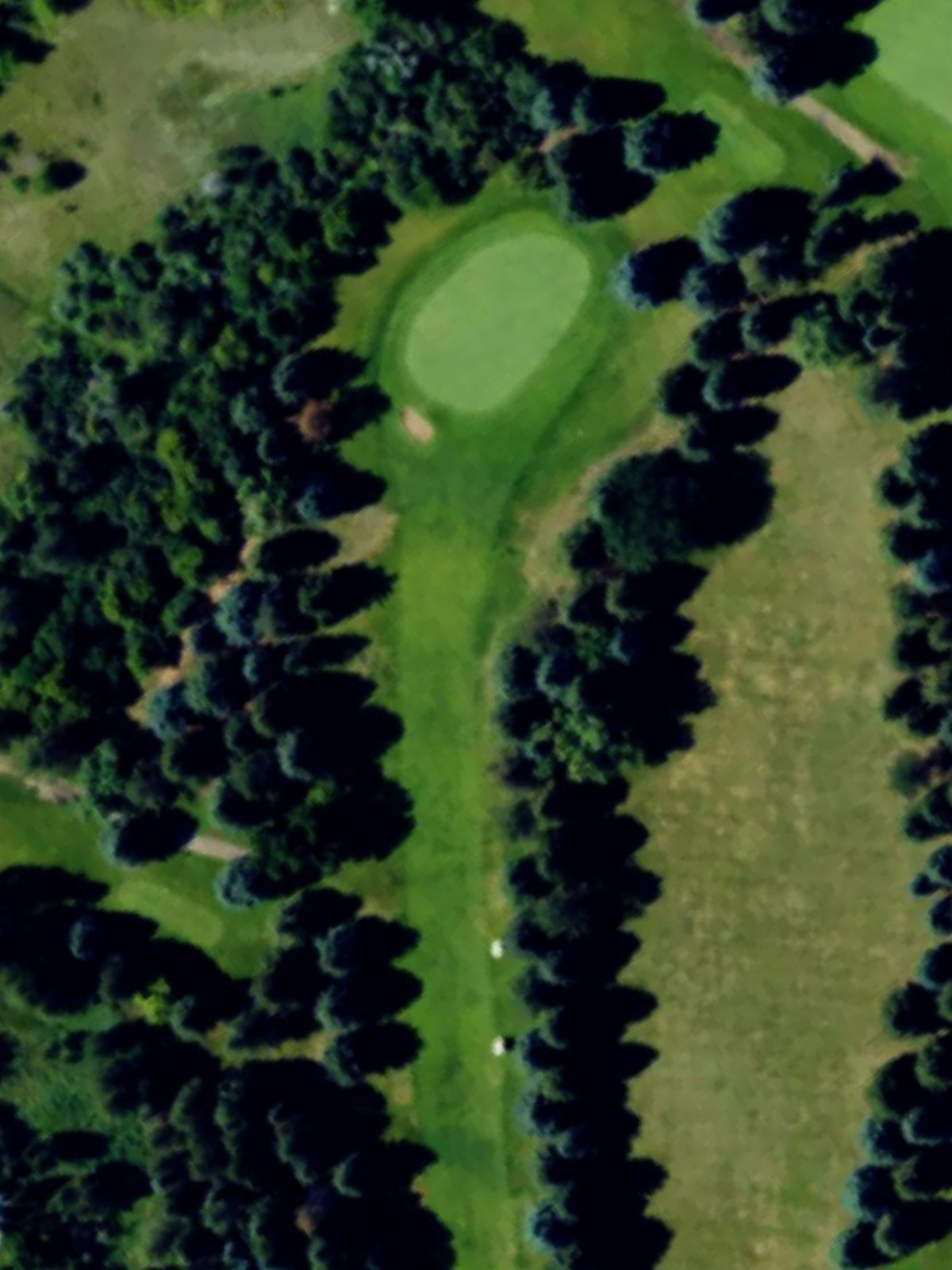 Hole 1 satellite