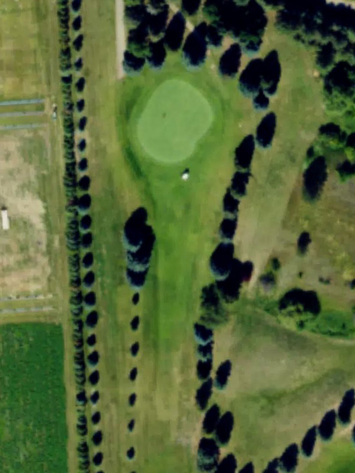 Hole 7 satellite