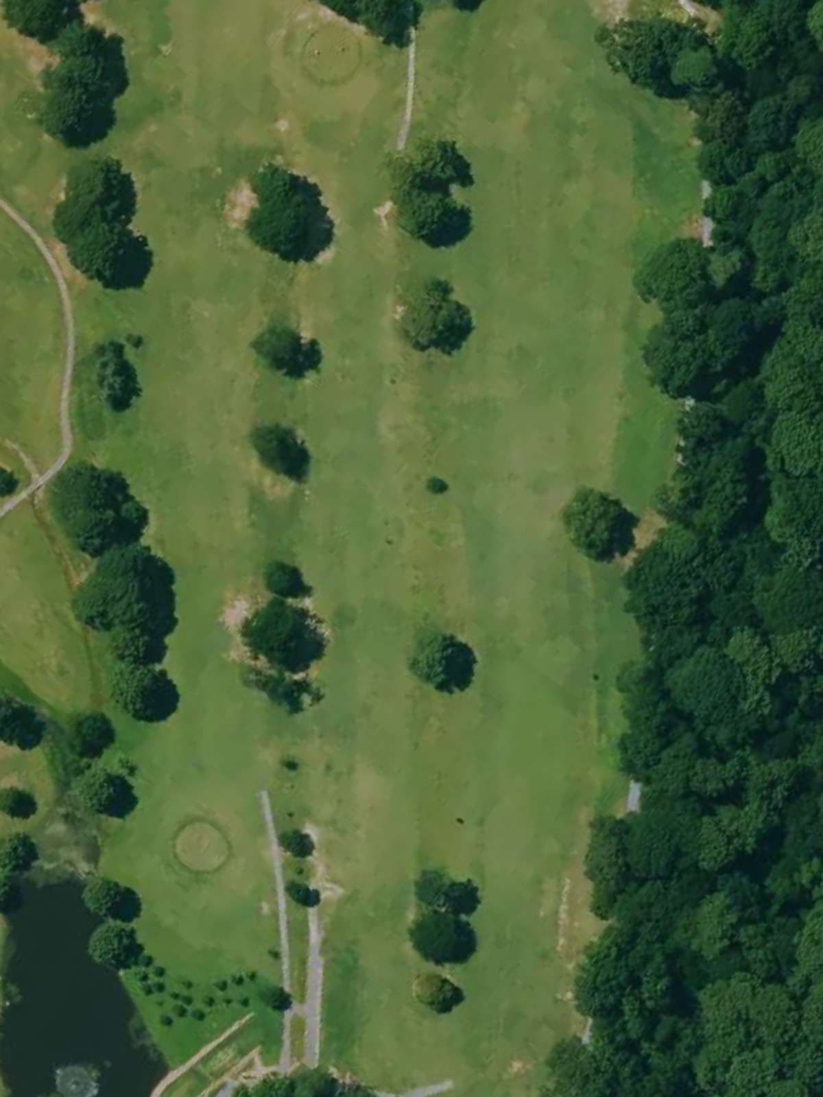 Hole 8 satellite