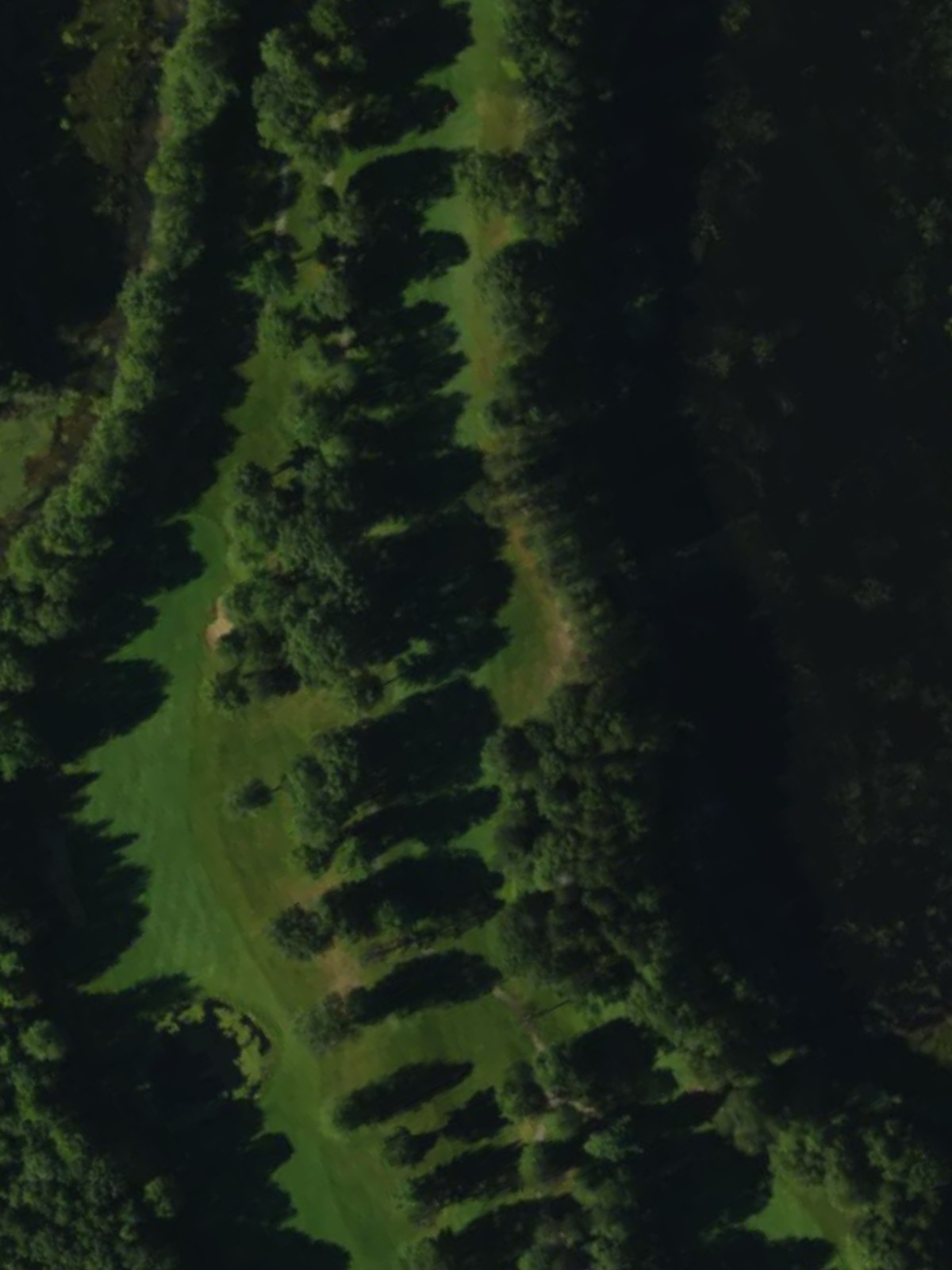 Hole 8 satellite