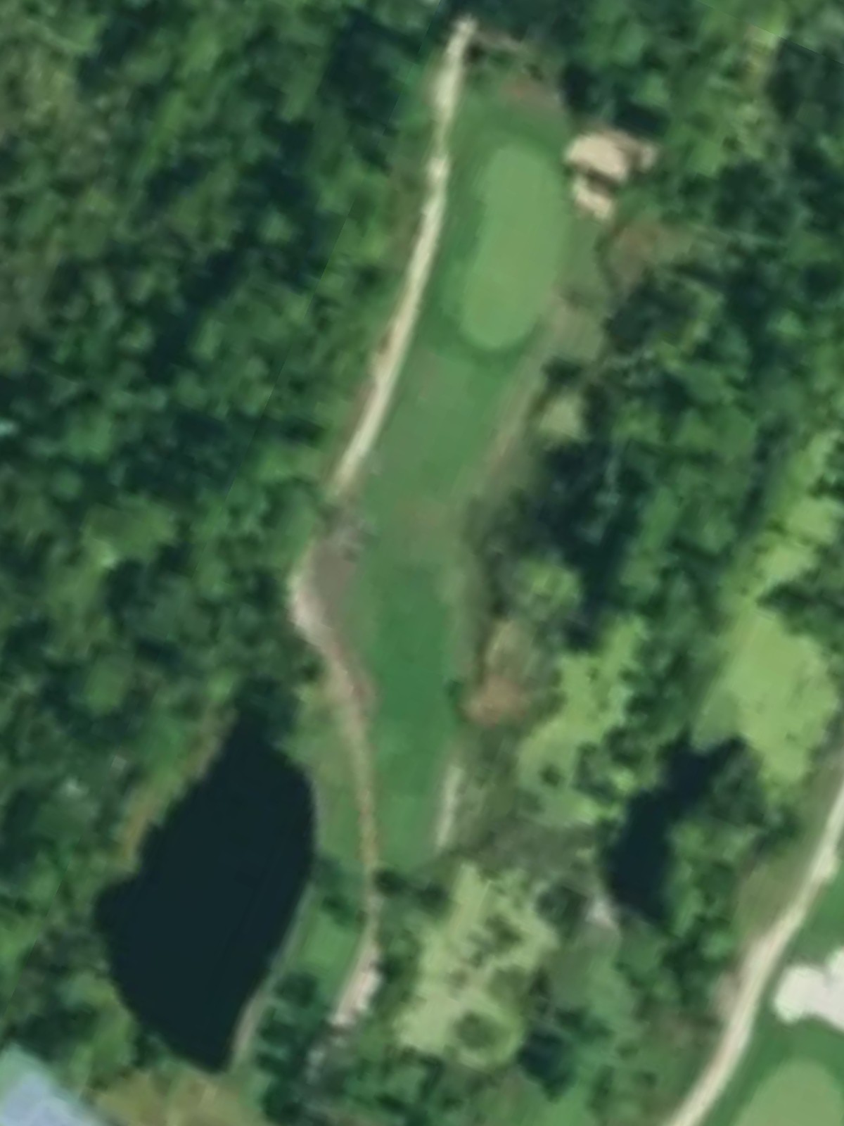 Hole 7 satellite