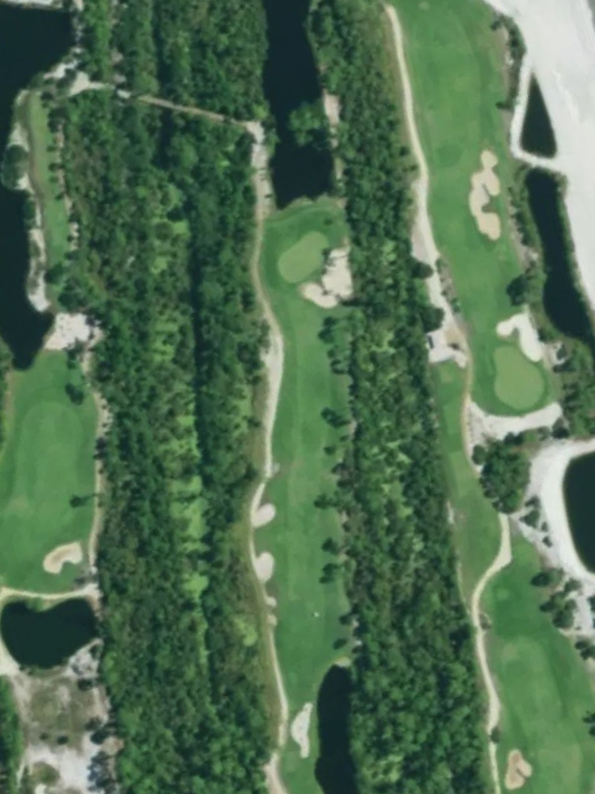 Hole 8 satellite