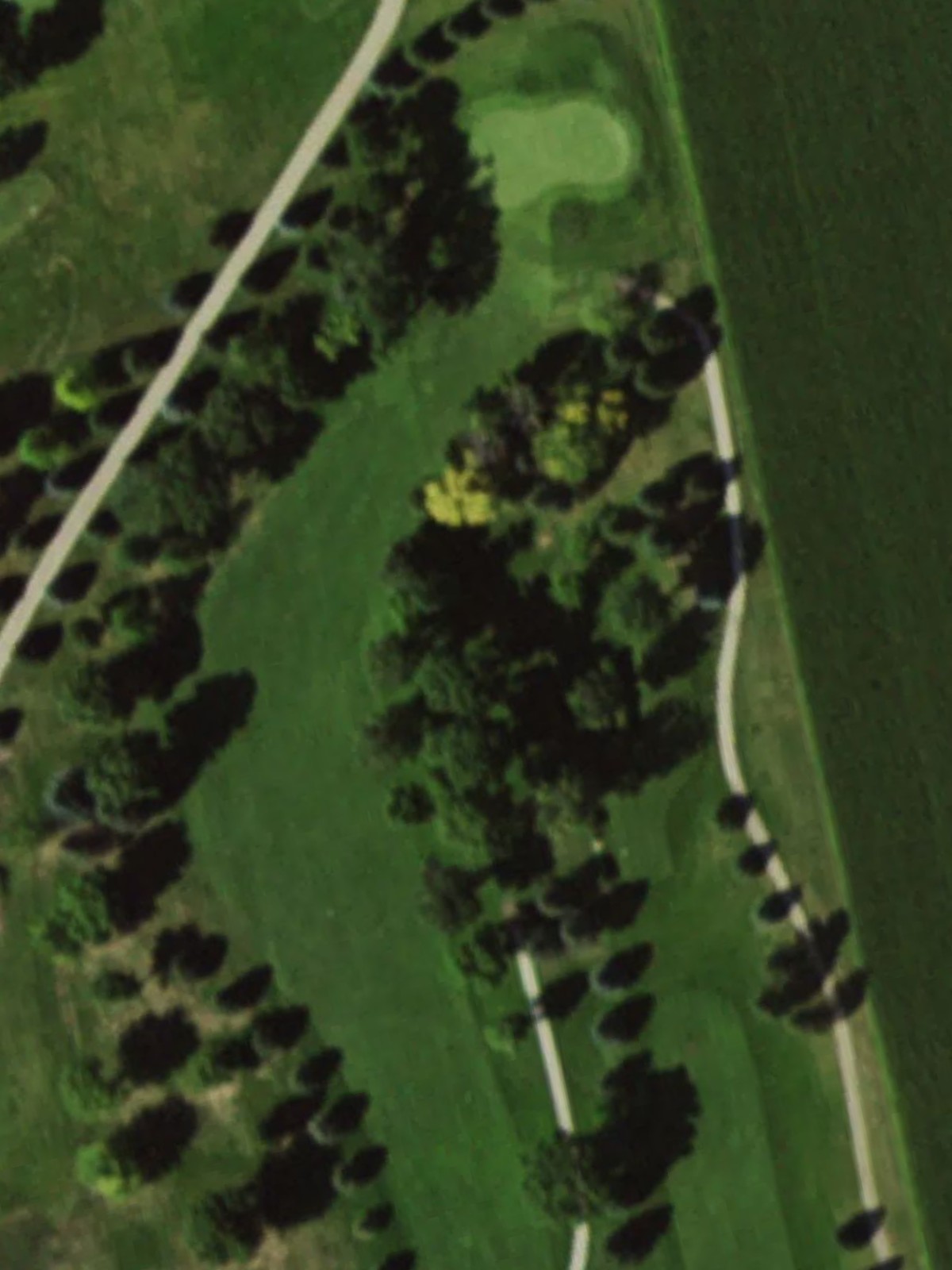 Hole 6 satellite