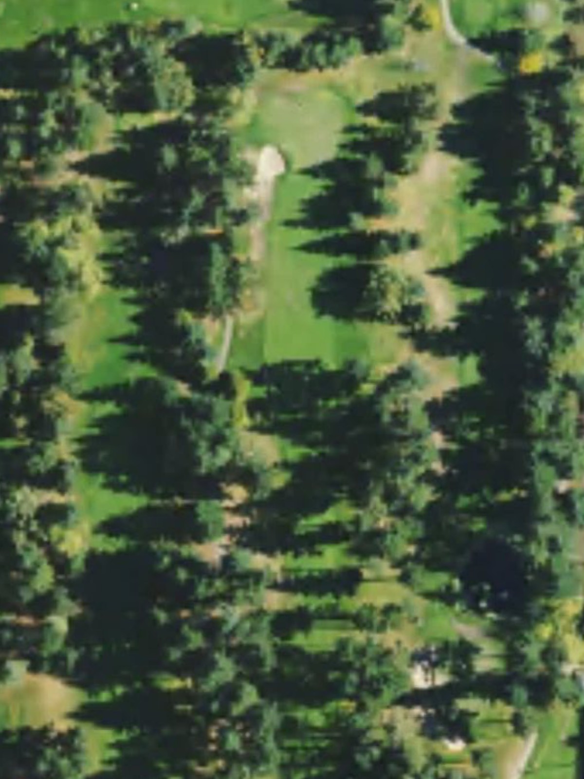 Hole 5 satellite