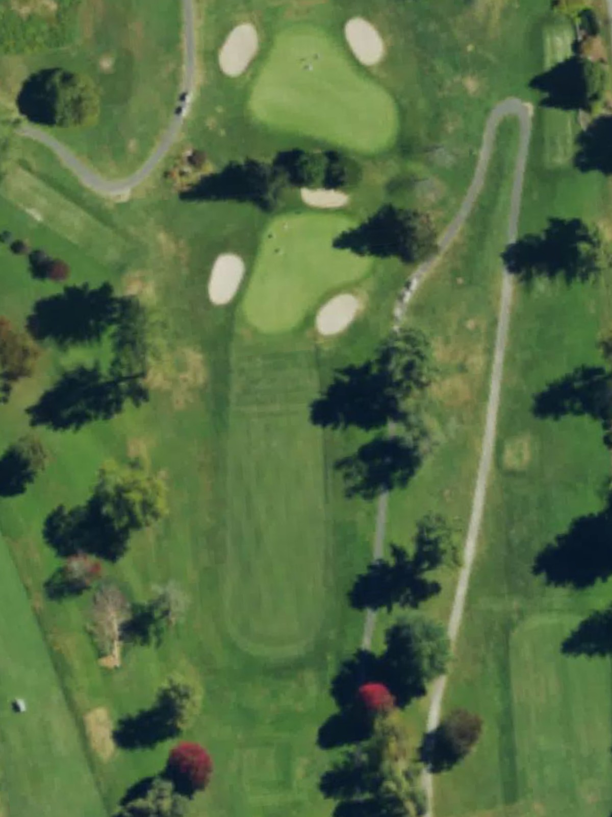 Hole 7 satellite