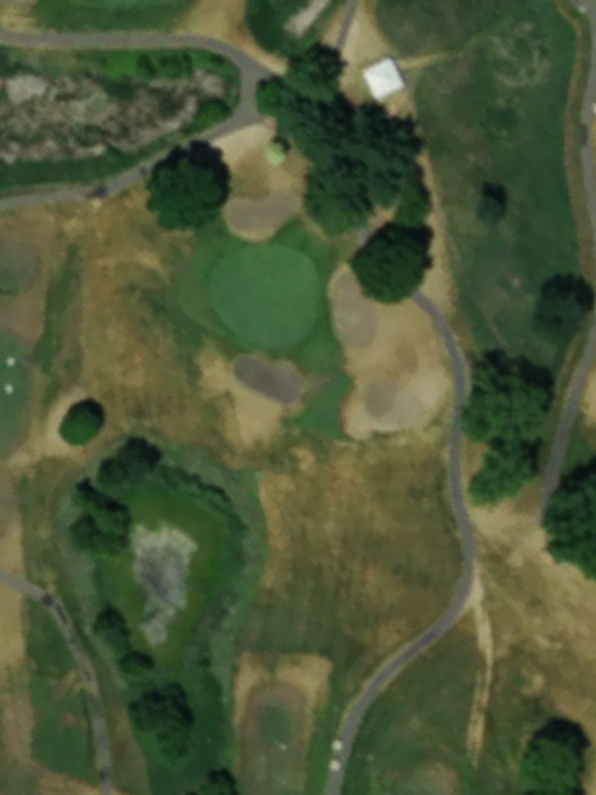 Hole 8 satellite