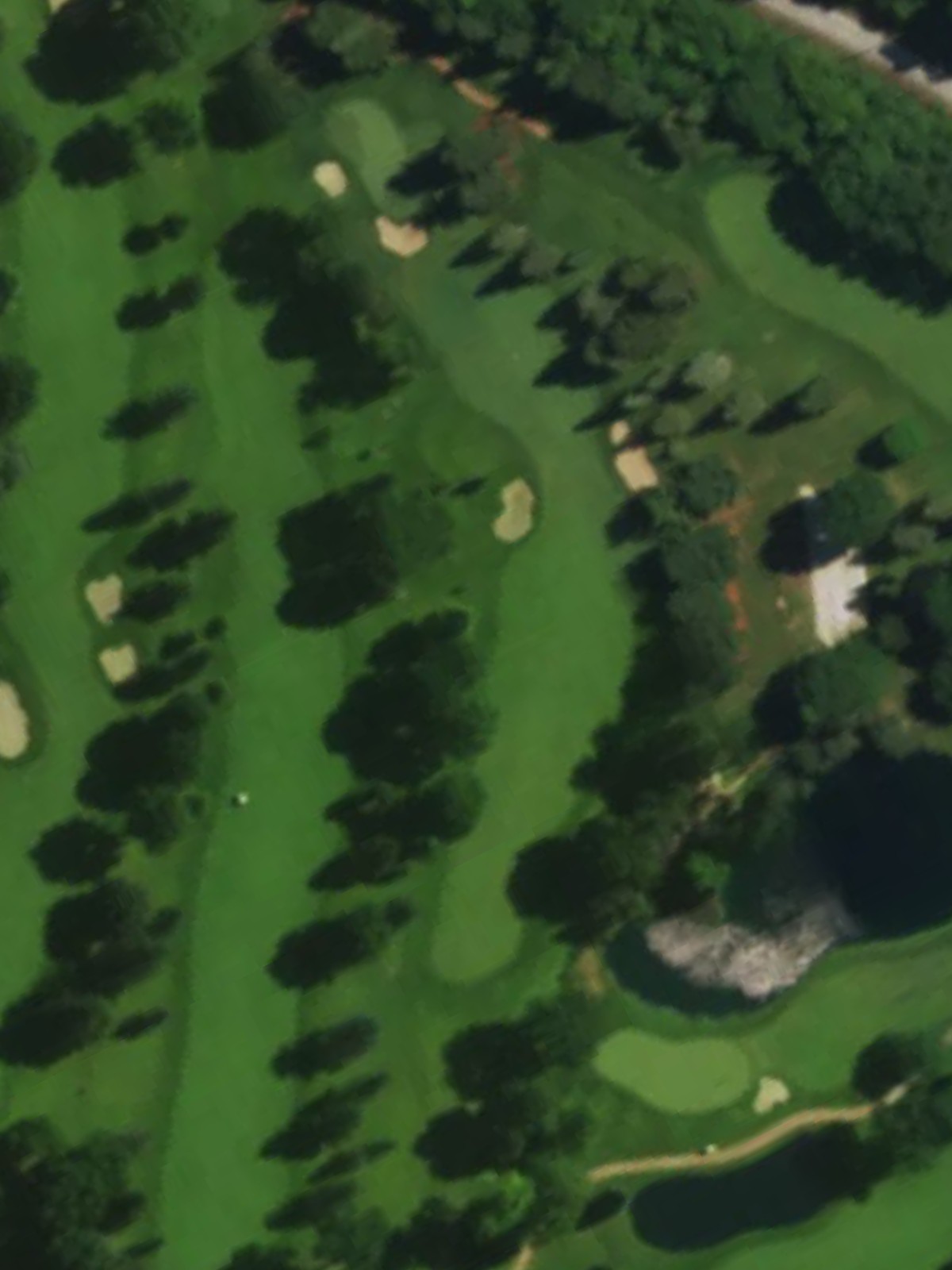 Hole 7 satellite