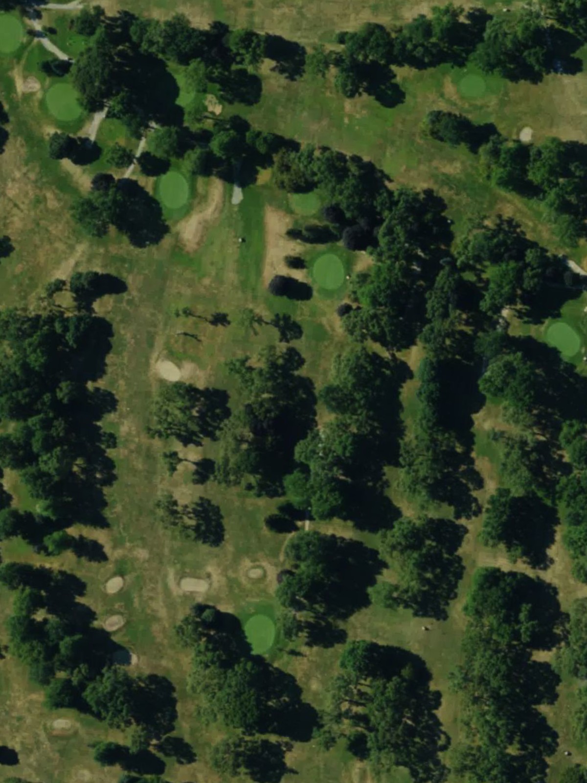 Hole 10 satellite