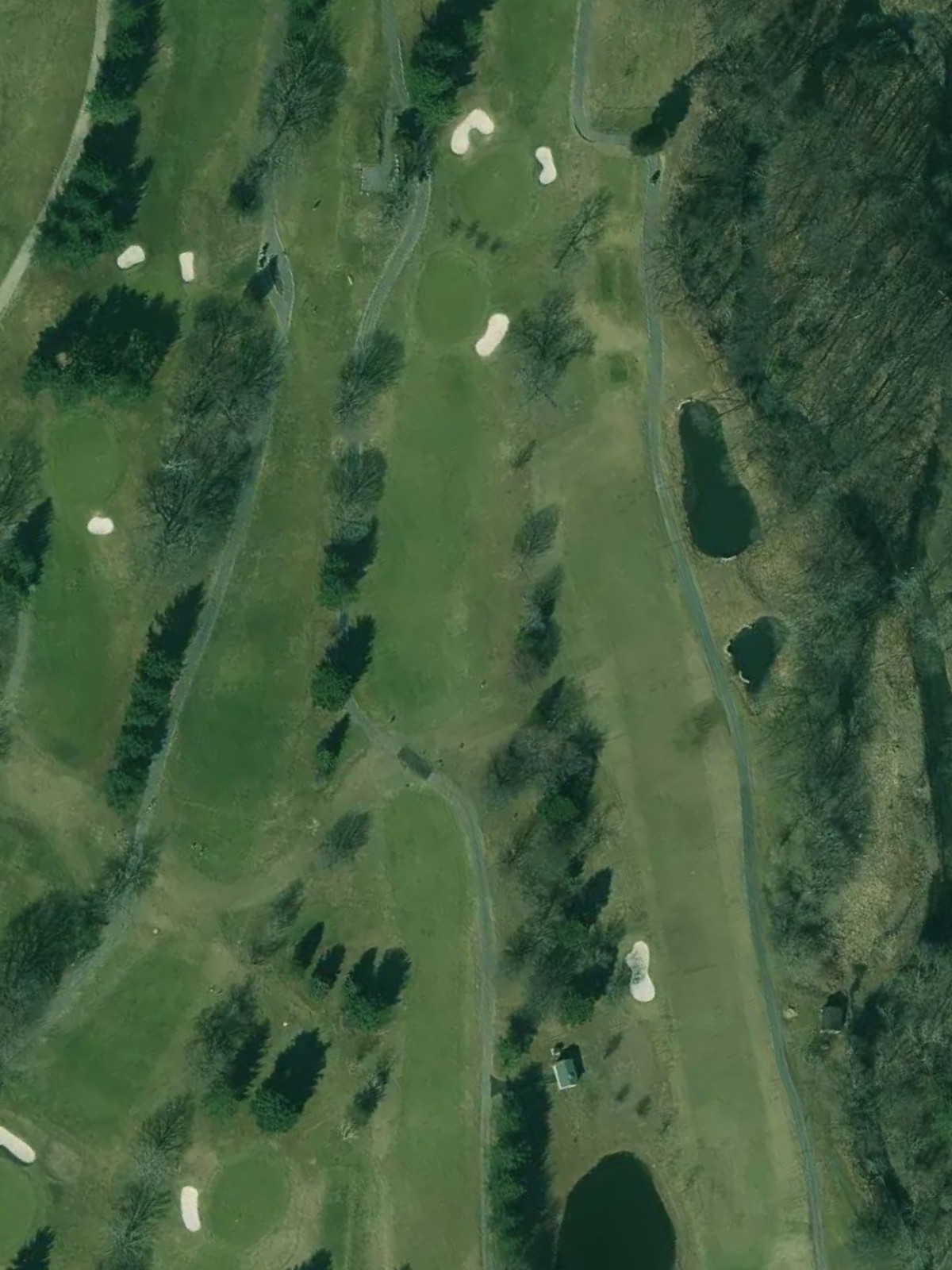 Hole 12 satellite