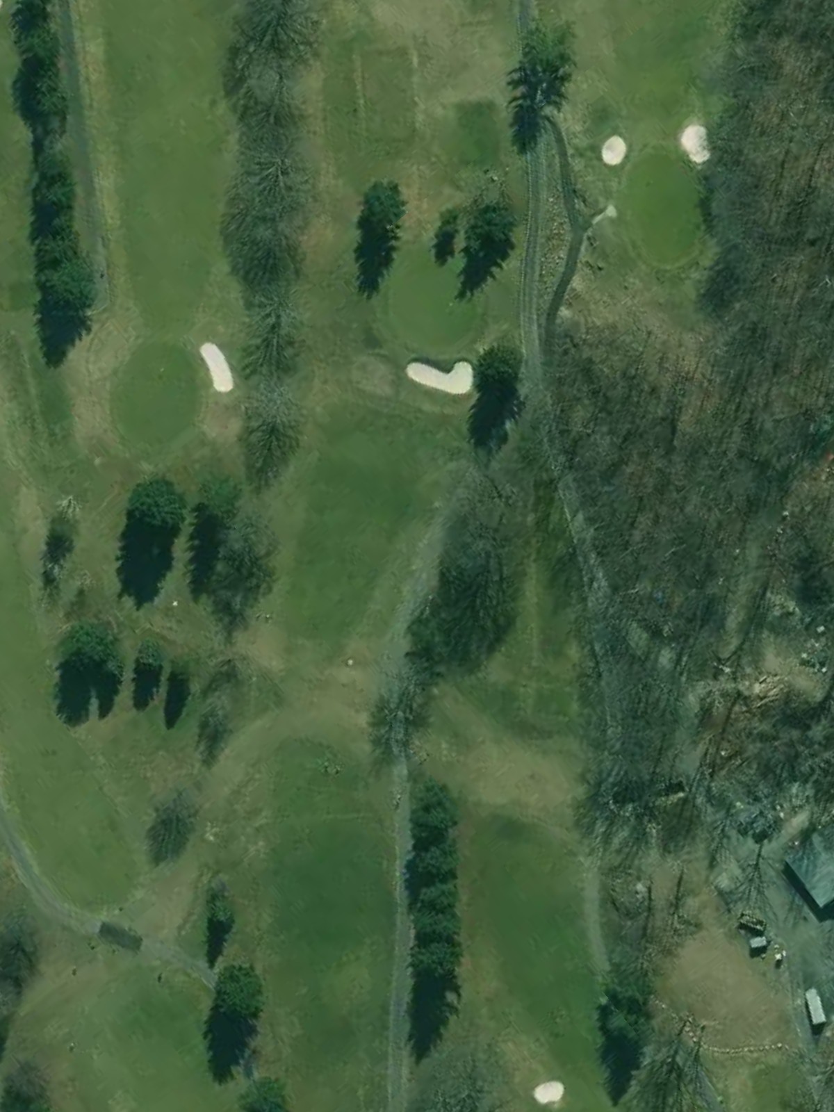 Hole 17 satellite