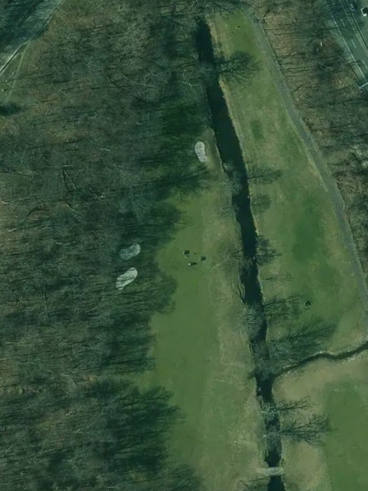 Hole 4 satellite