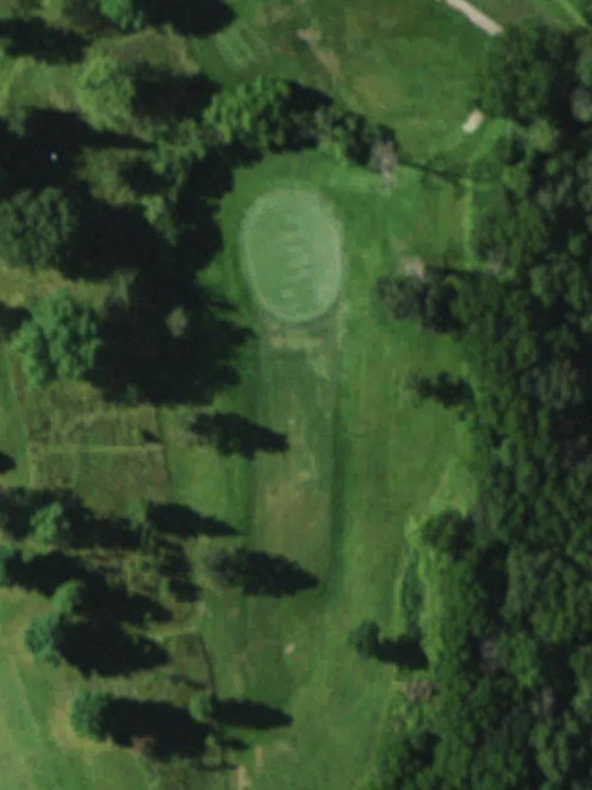 Hole 13 satellite