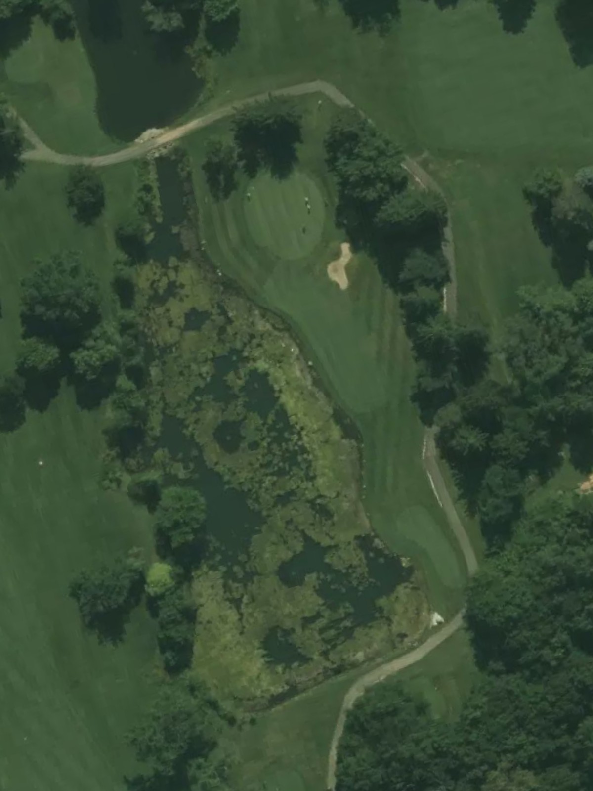 Hole 12 satellite