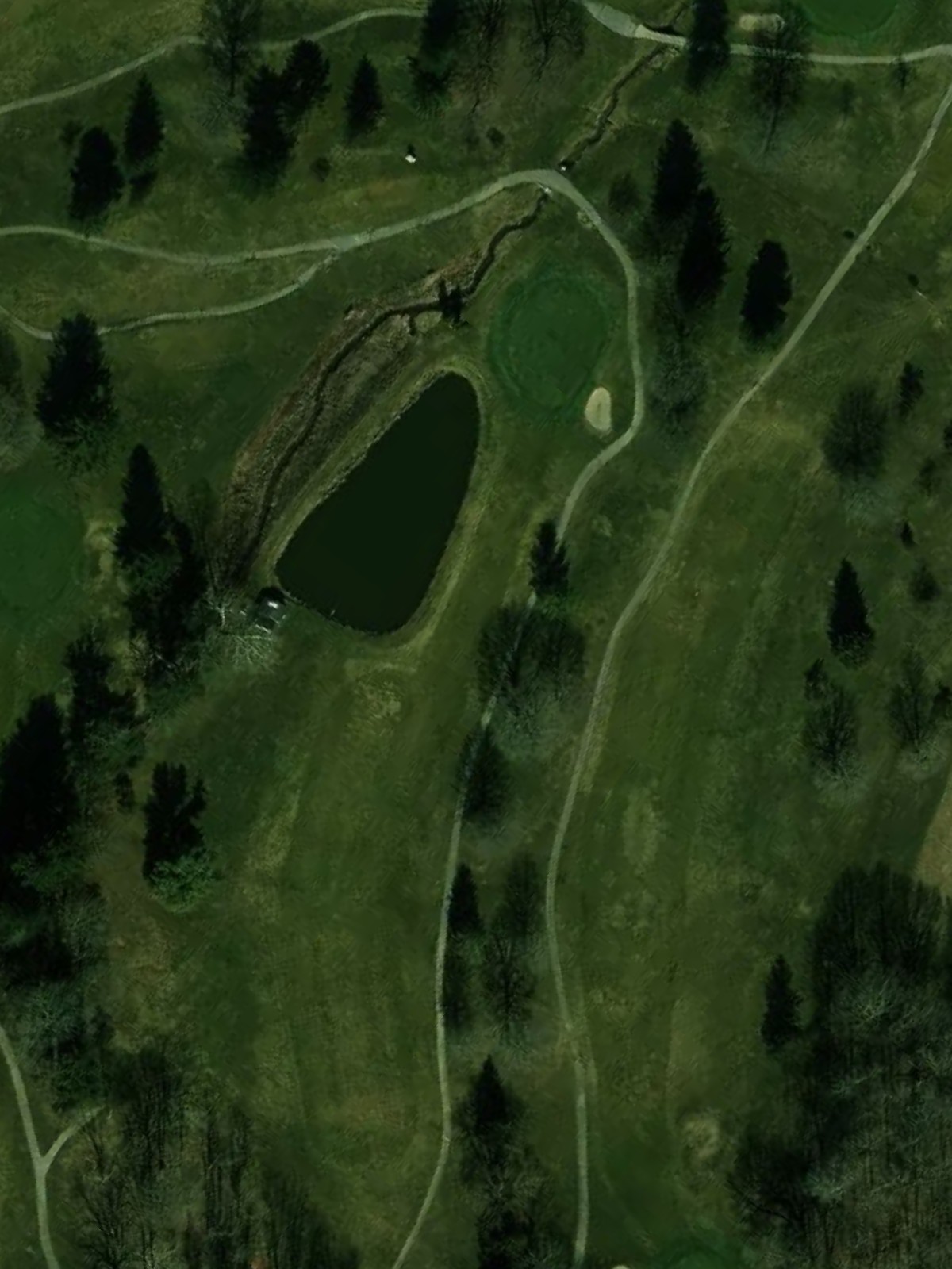 Hole 4 satellite