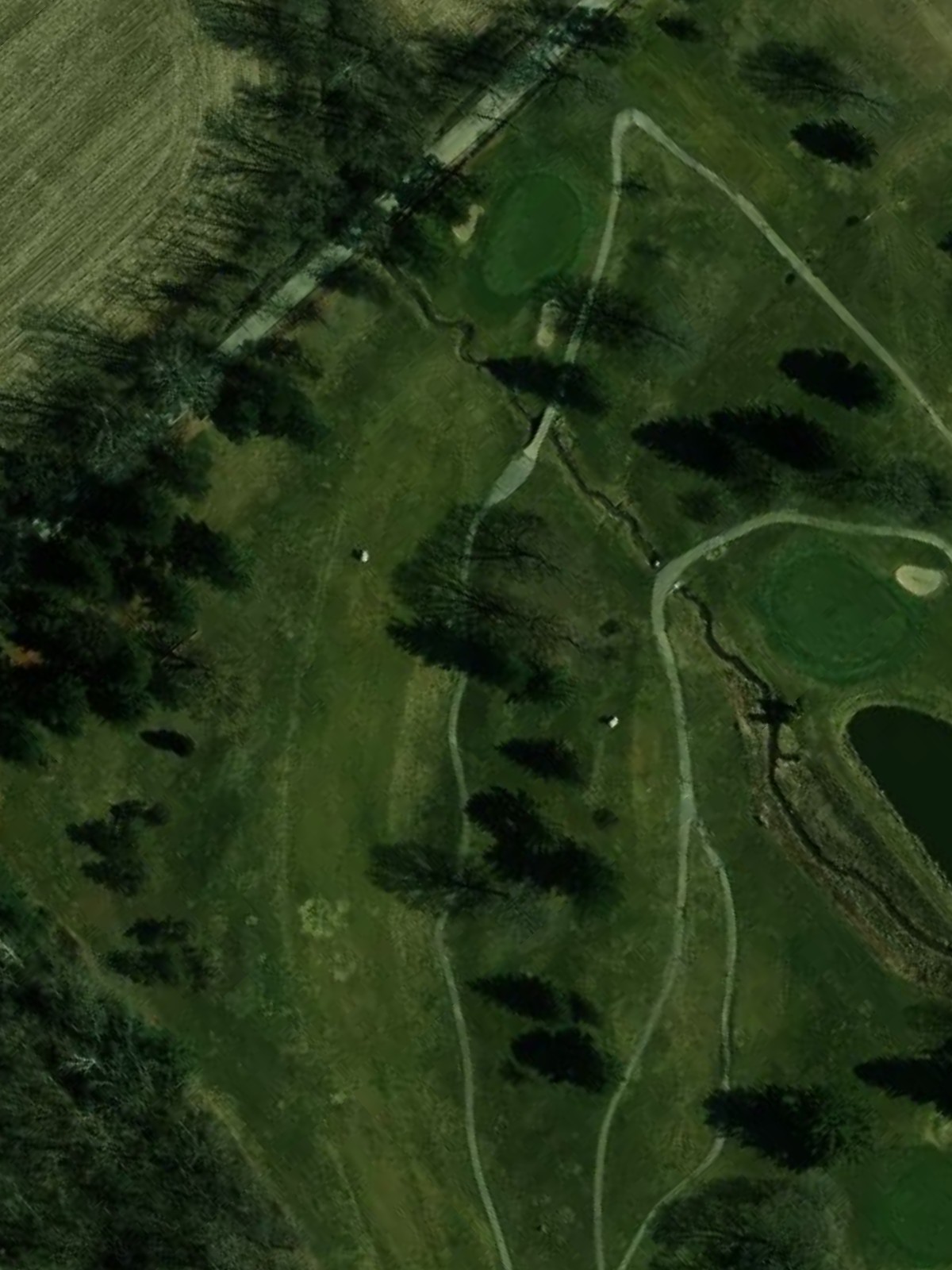 Hole 6 satellite