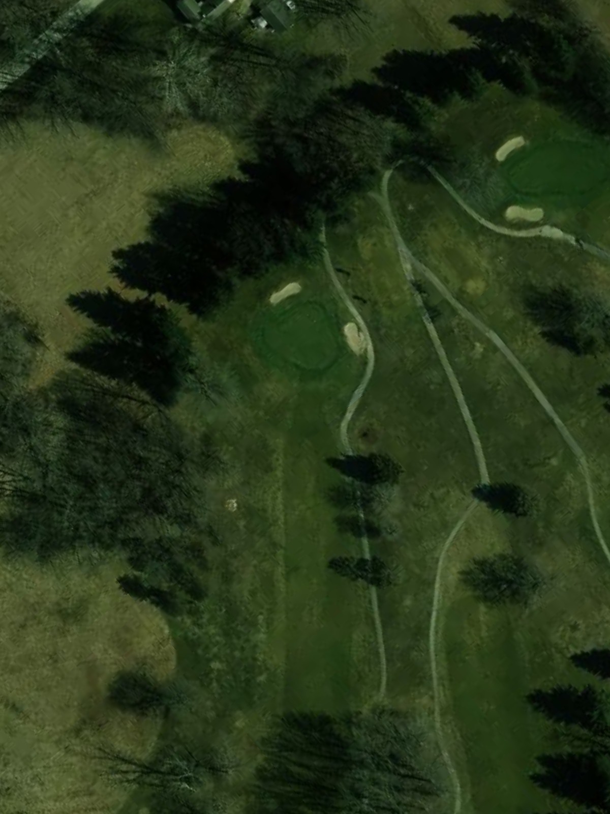 Hole 8 satellite