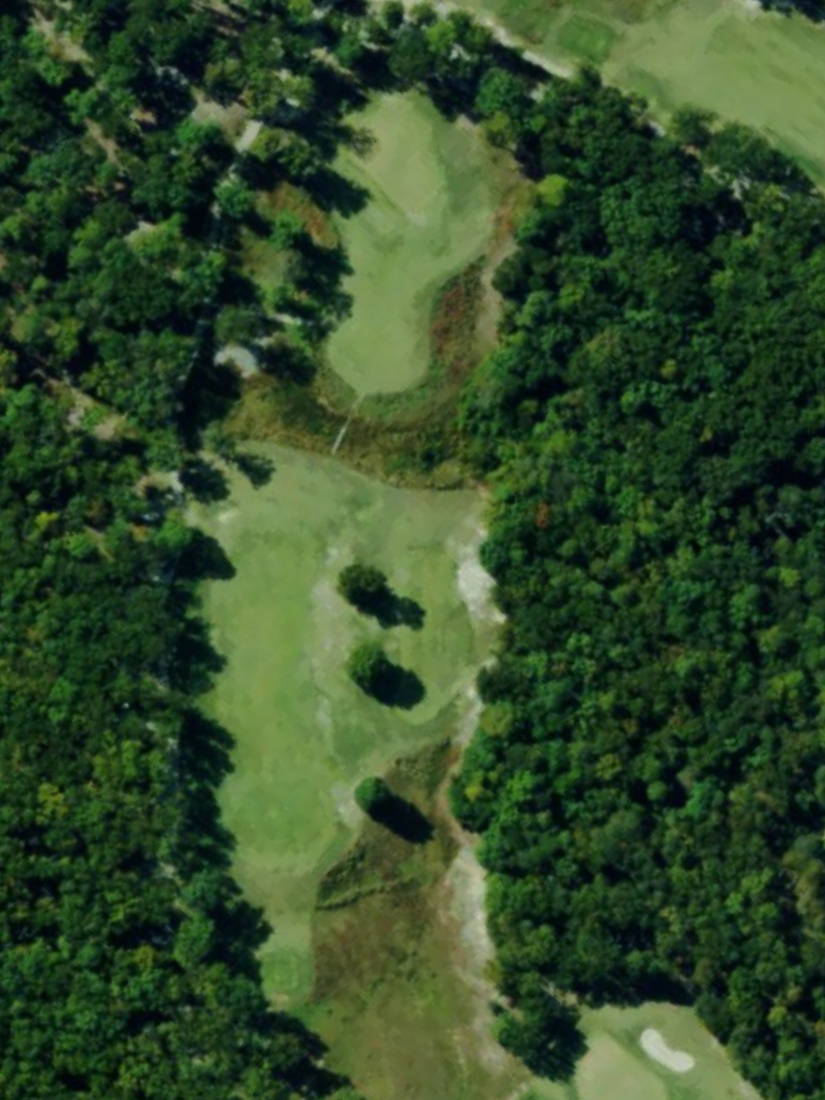 Hole 11 satellite