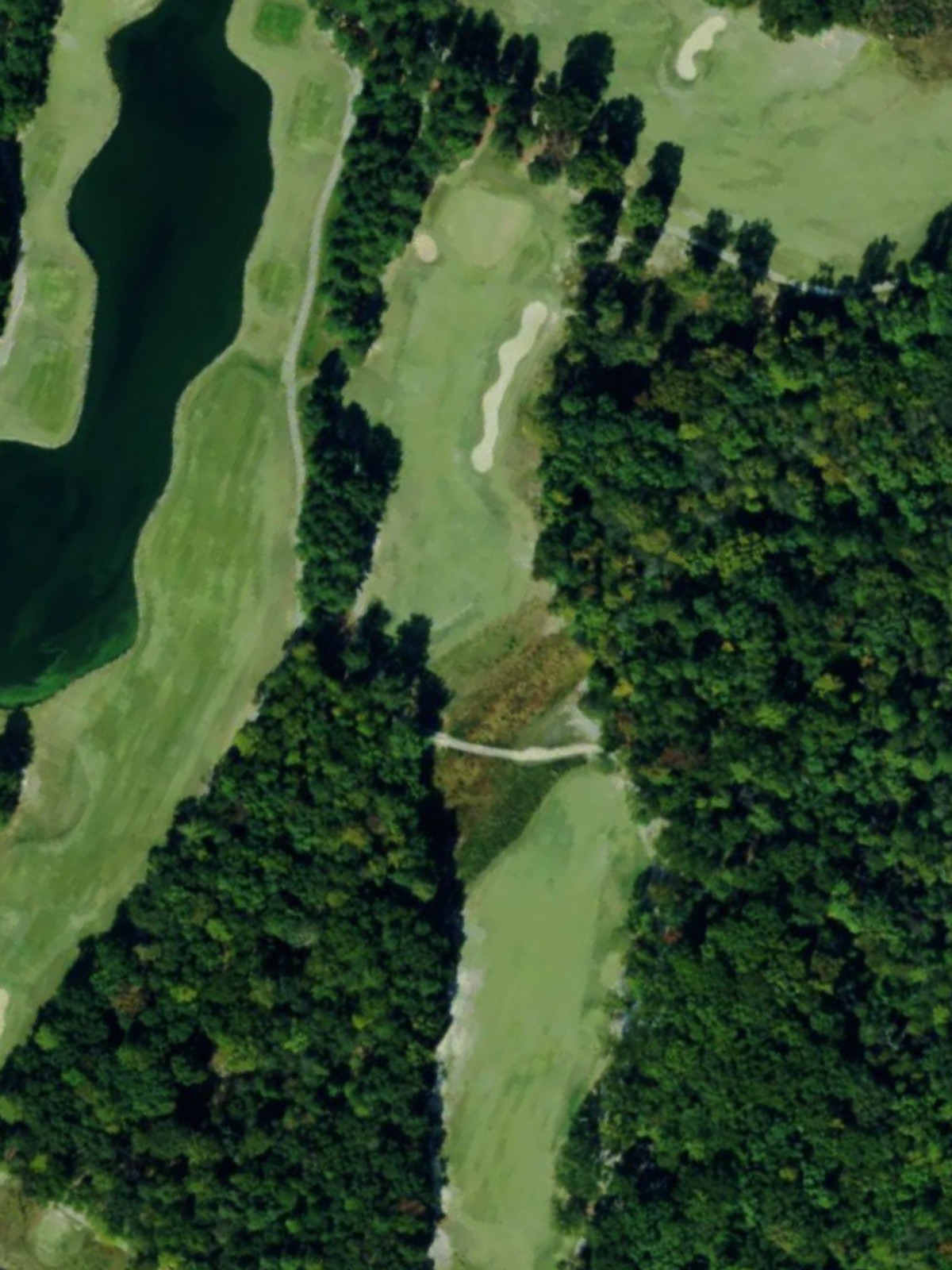 Hole 12 satellite