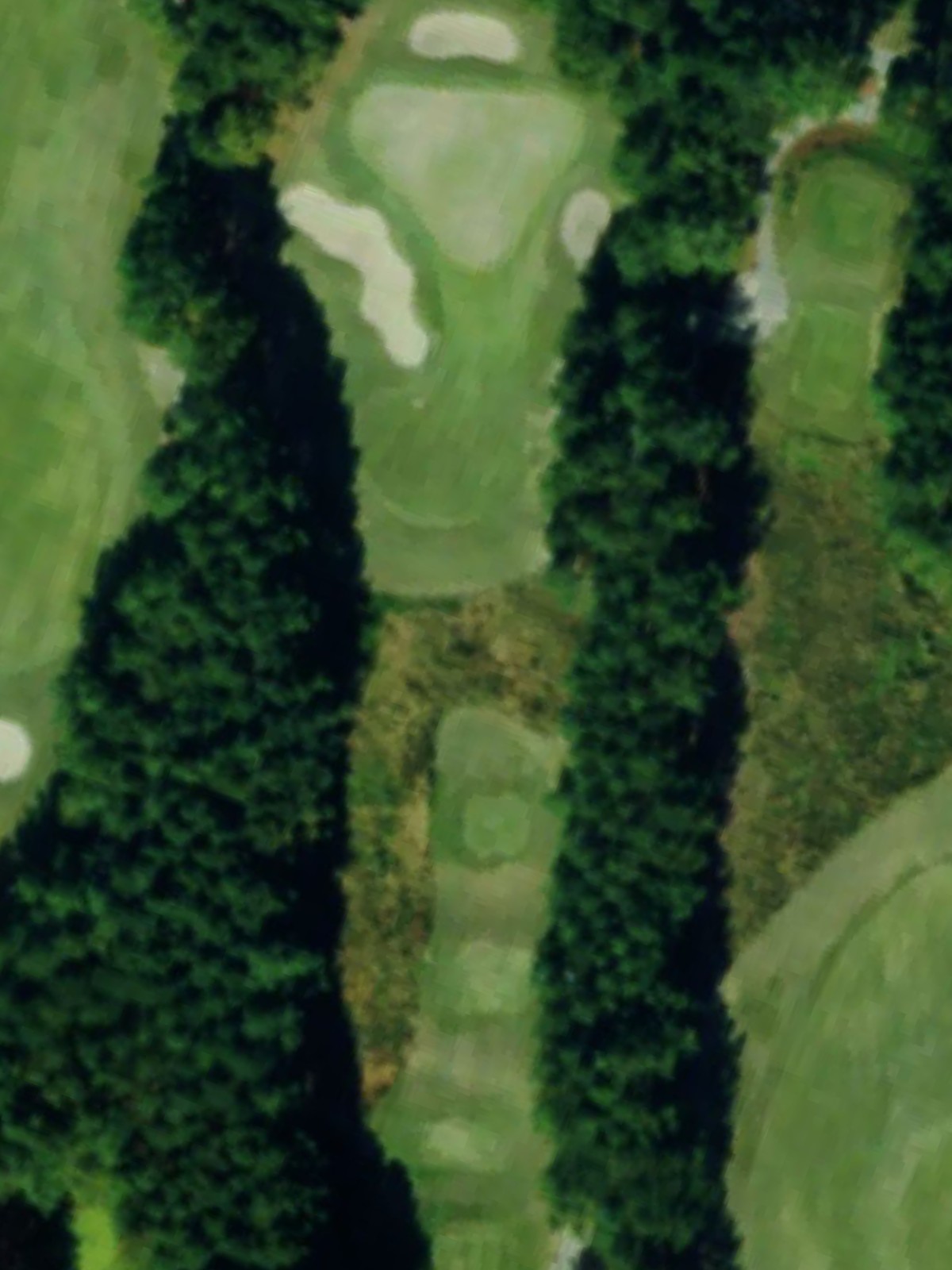 Hole 7 satellite