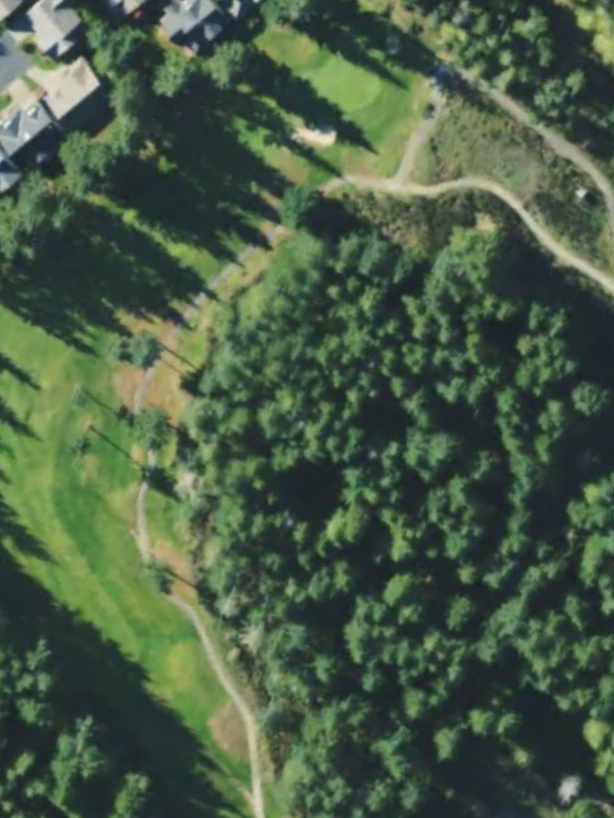 Hole 15 satellite