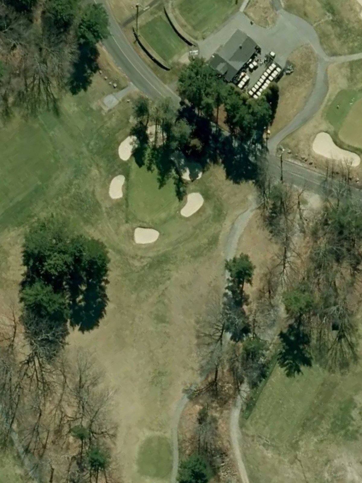 Hole 7 satellite