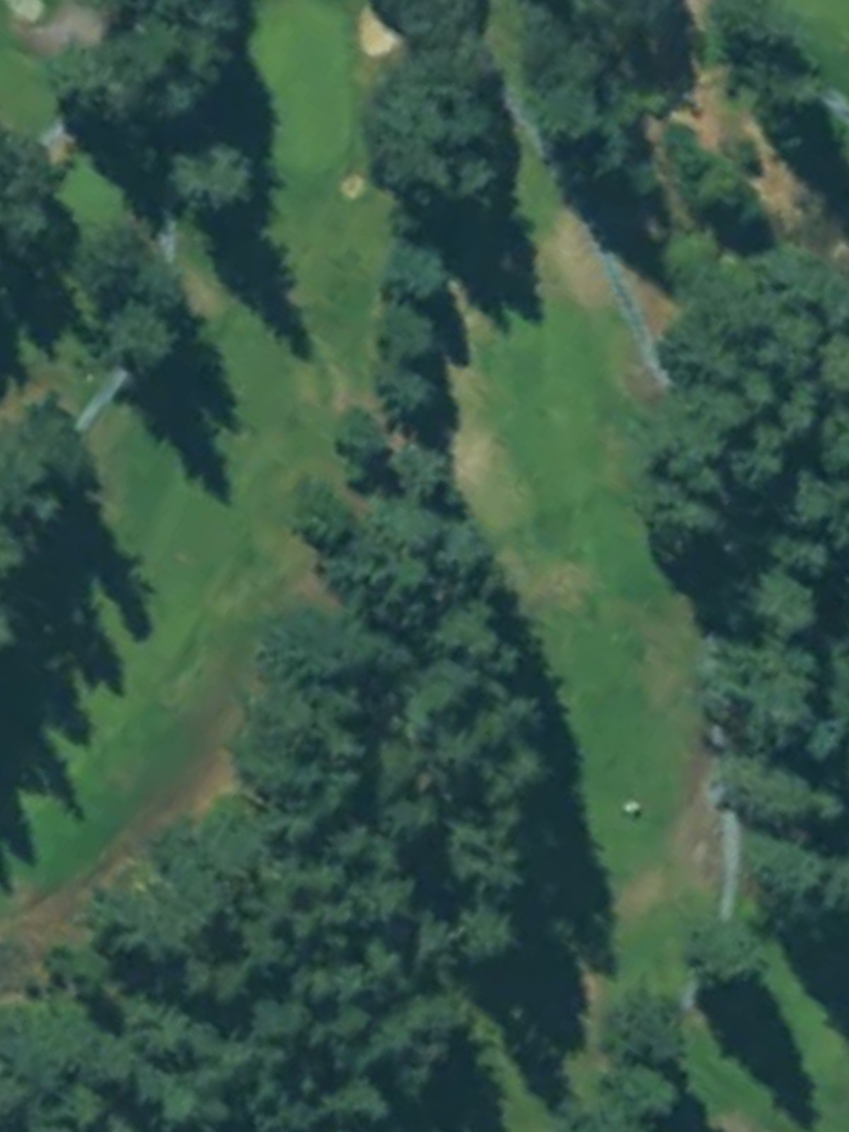 Hole 12 satellite