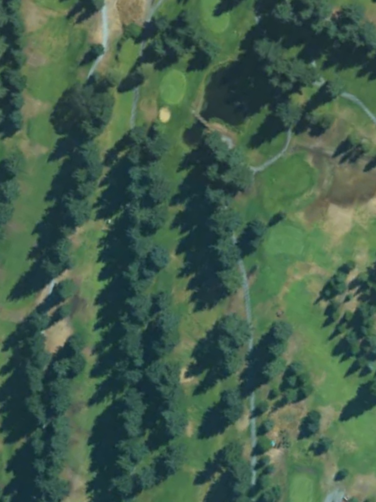 Hole 16 satellite