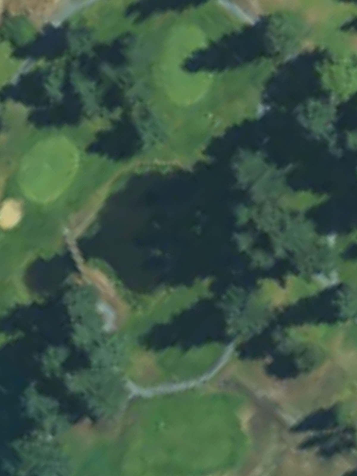 Hole 17 satellite