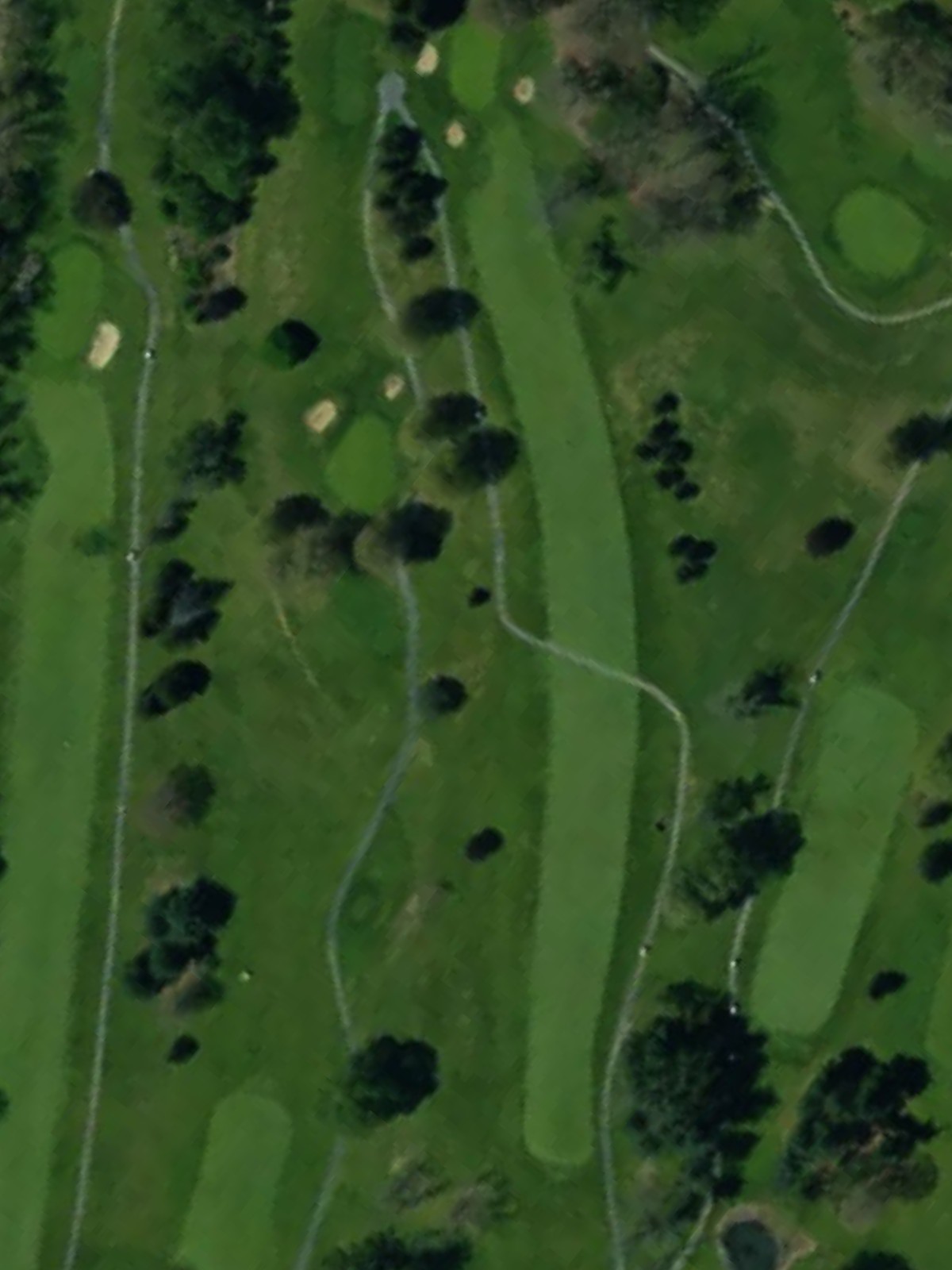 Hole 1 satellite