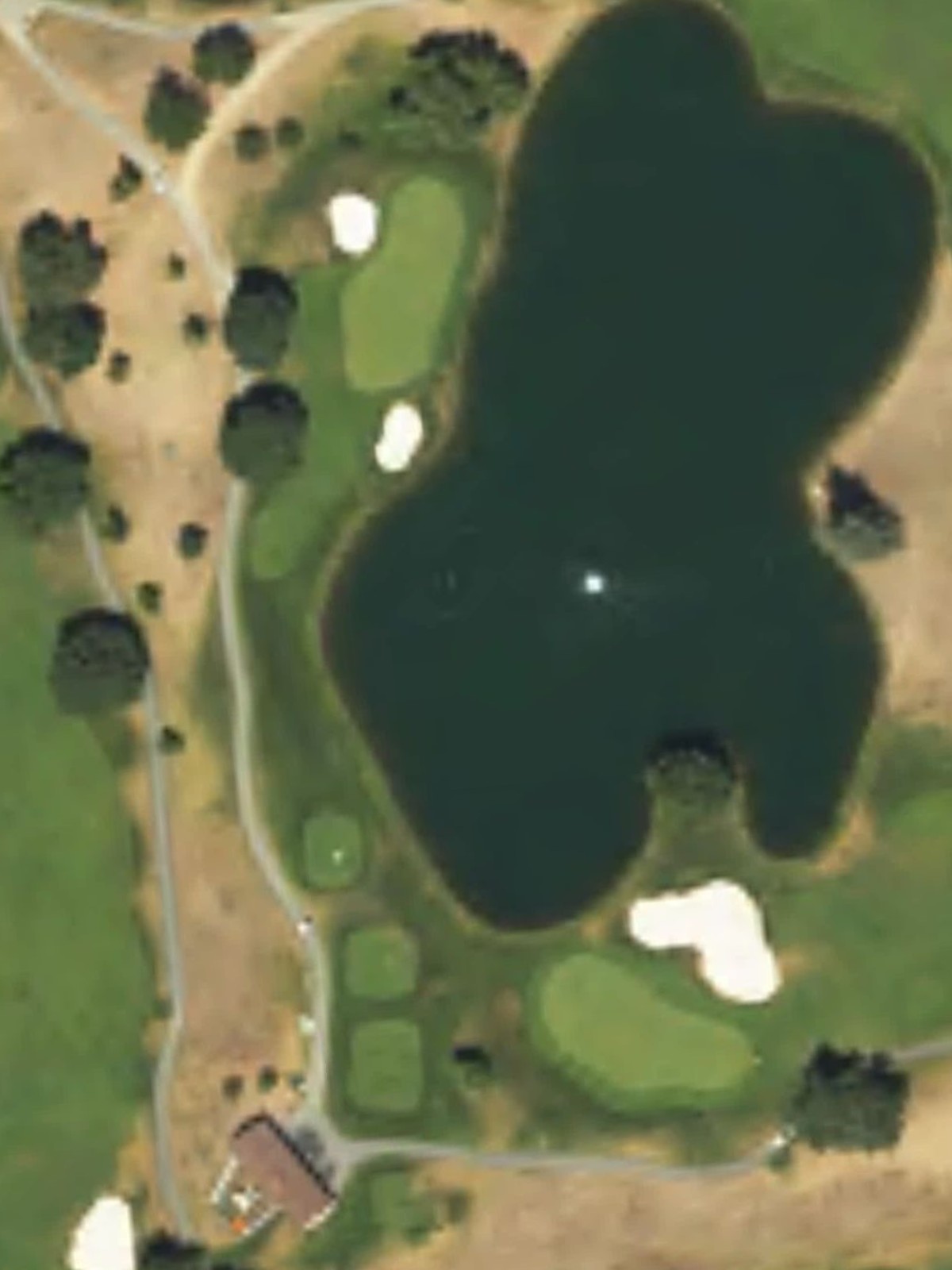 Hole 7 satellite