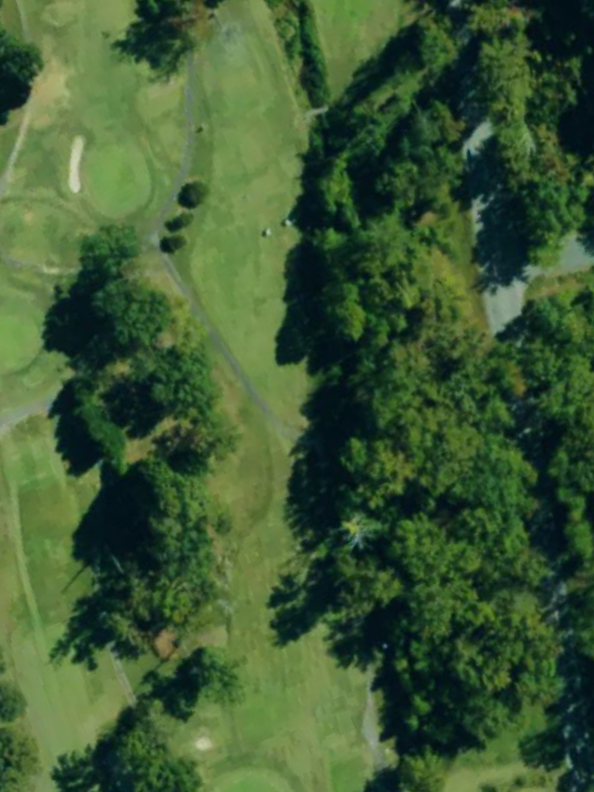 Hole 10 satellite