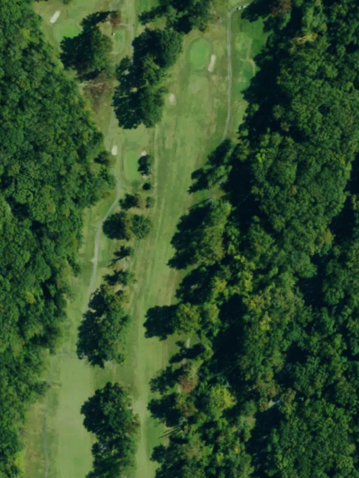 Hole 11 satellite