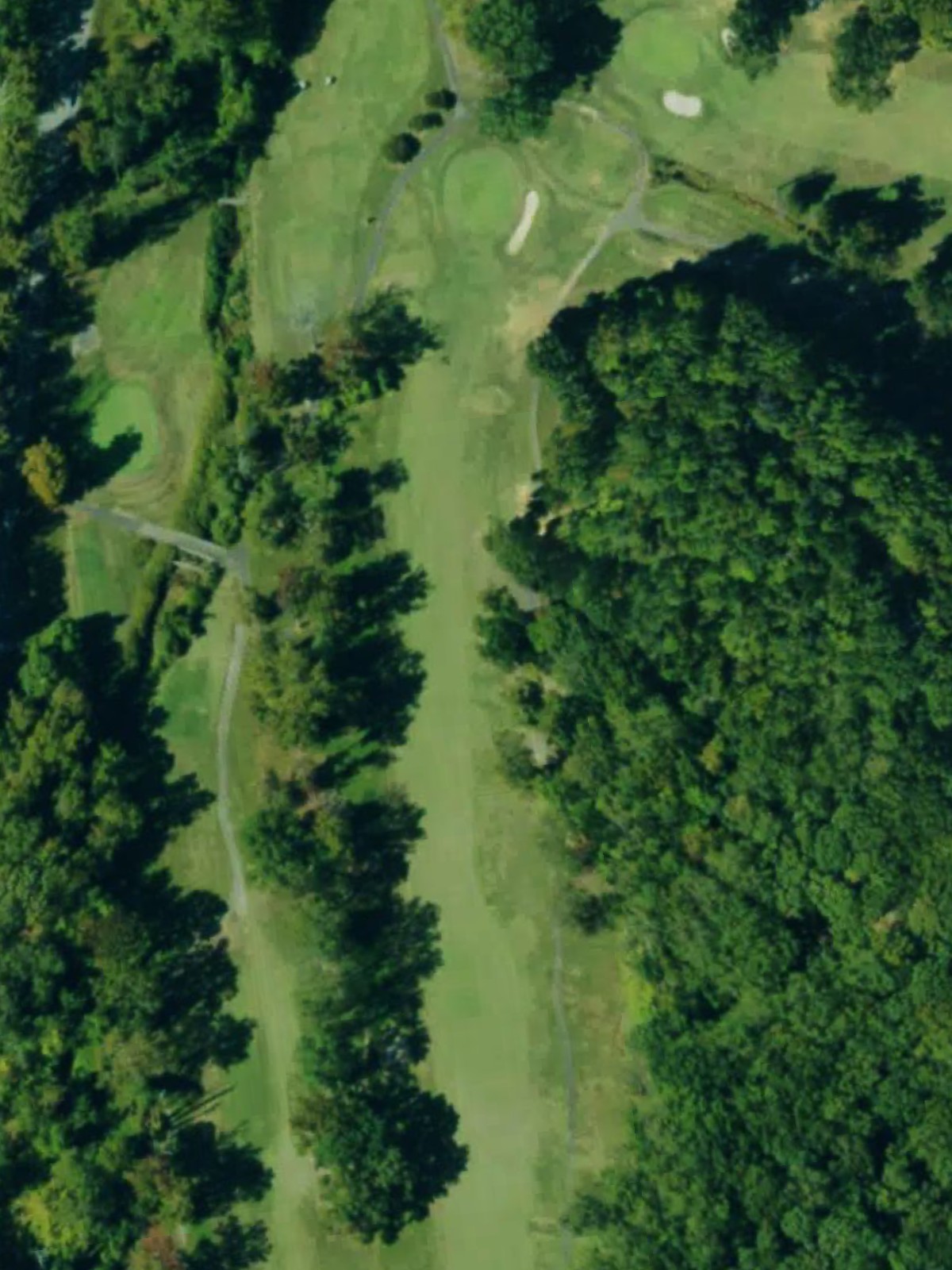 Hole 15 satellite