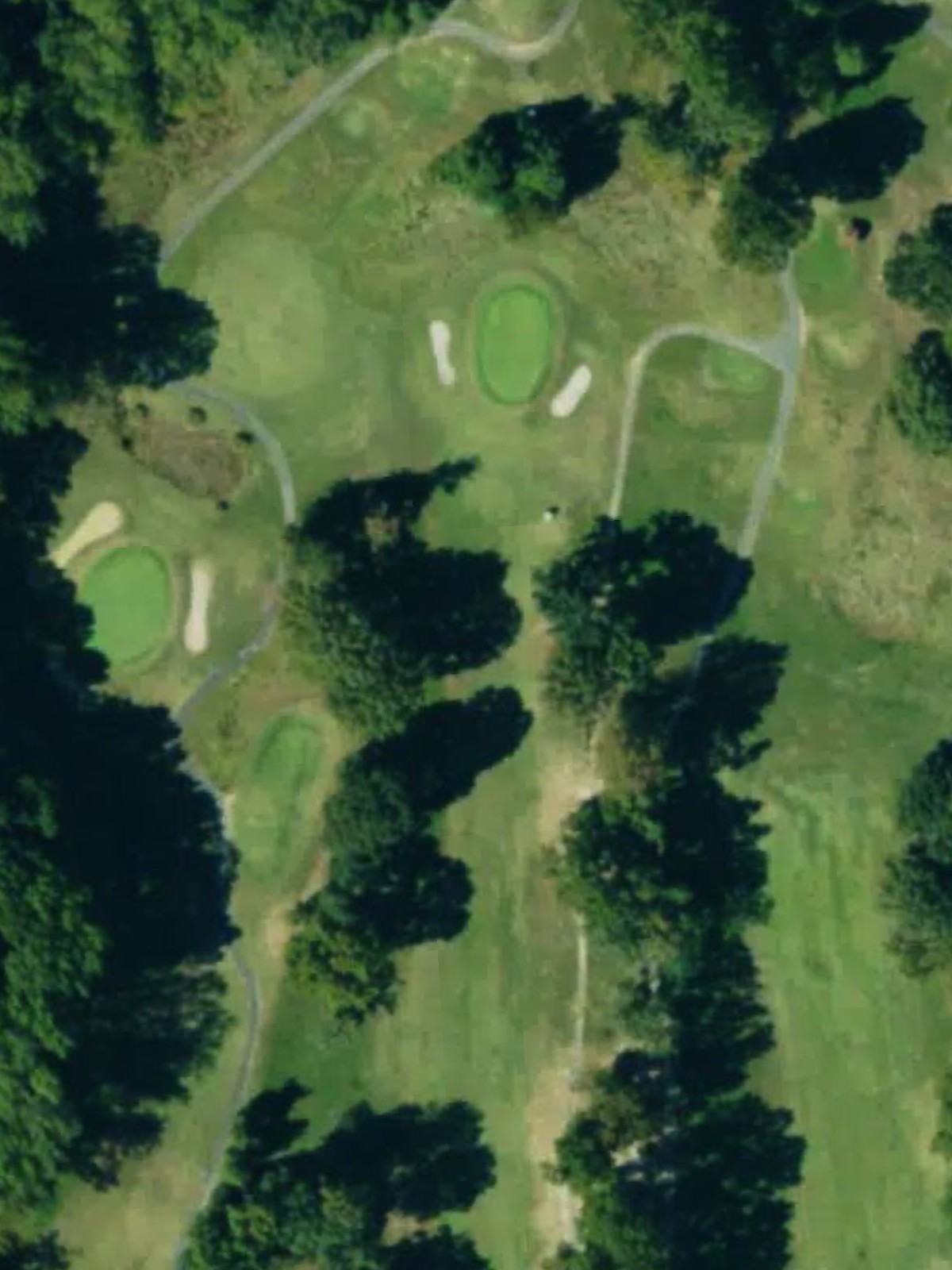 Hole 6 satellite