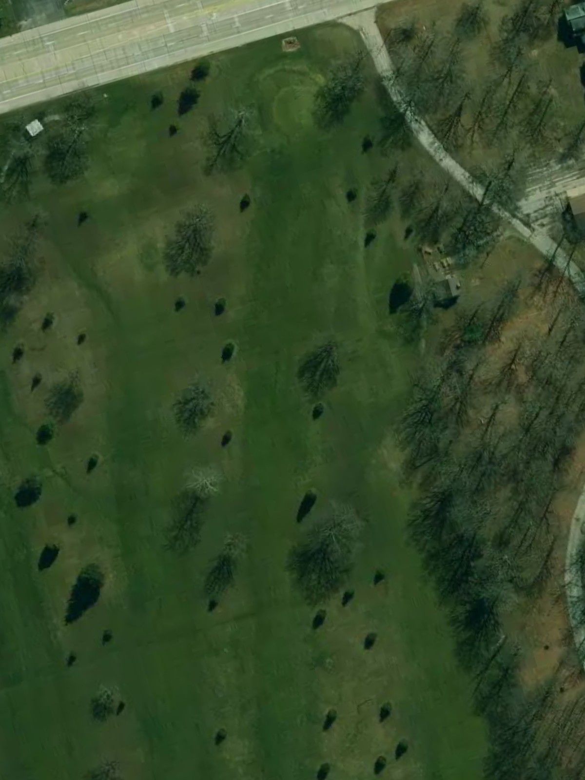Hole 15 satellite