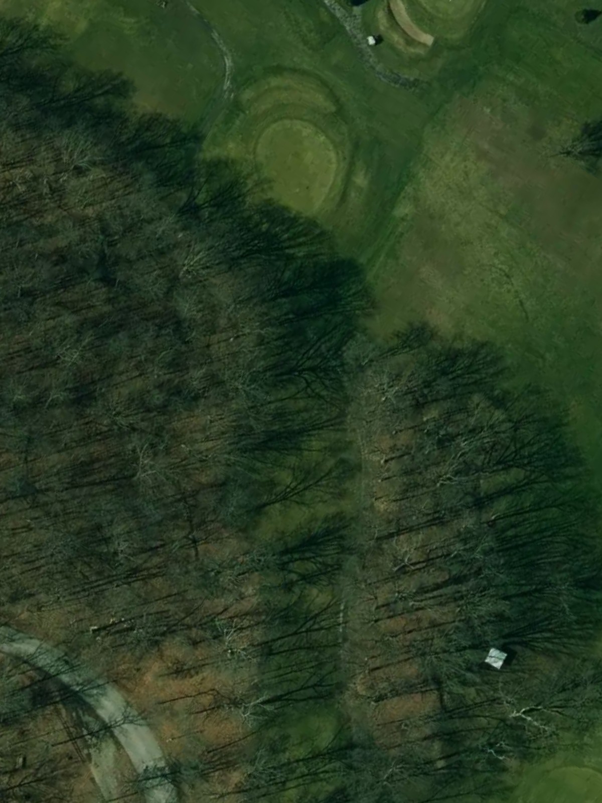 Hole 17 satellite