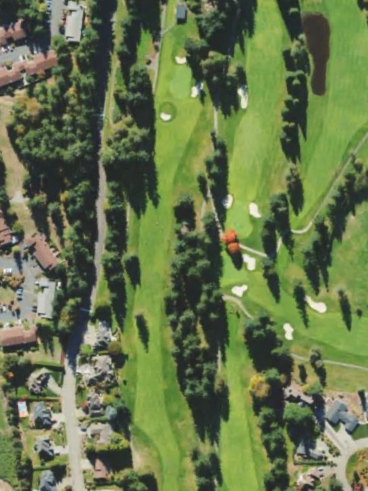 Hole 4 satellite