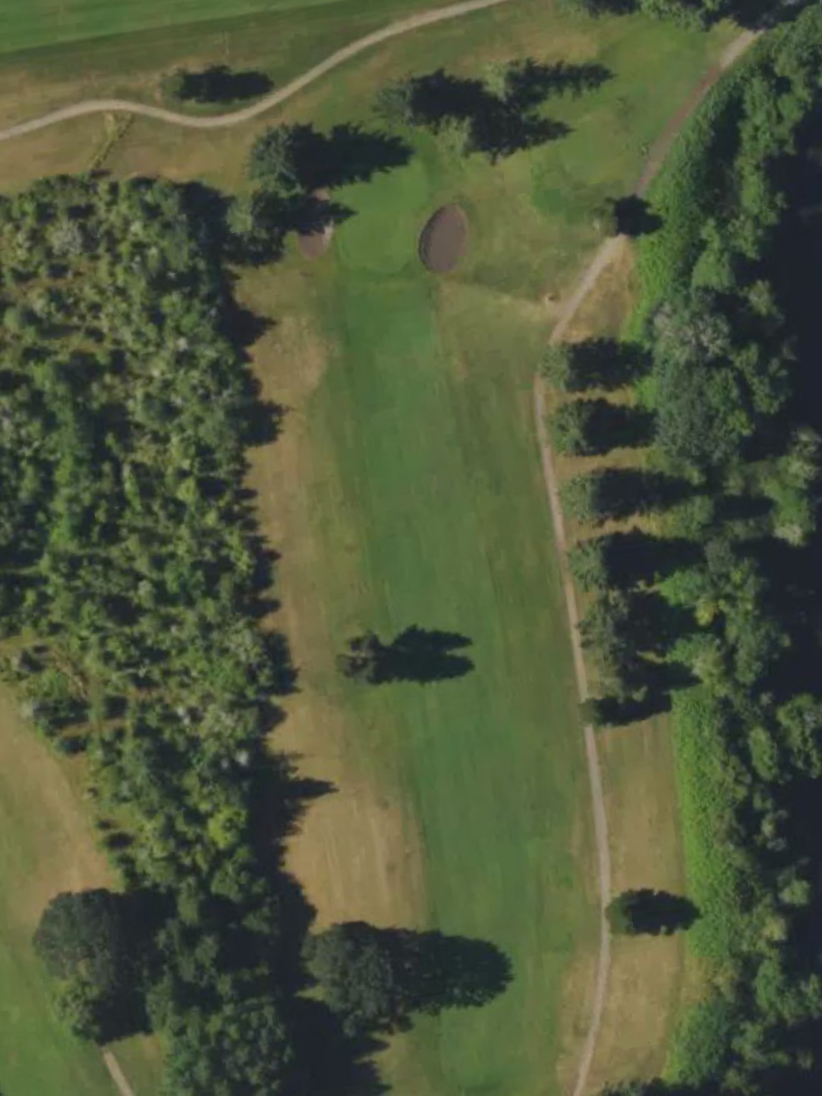 Hole 7 satellite