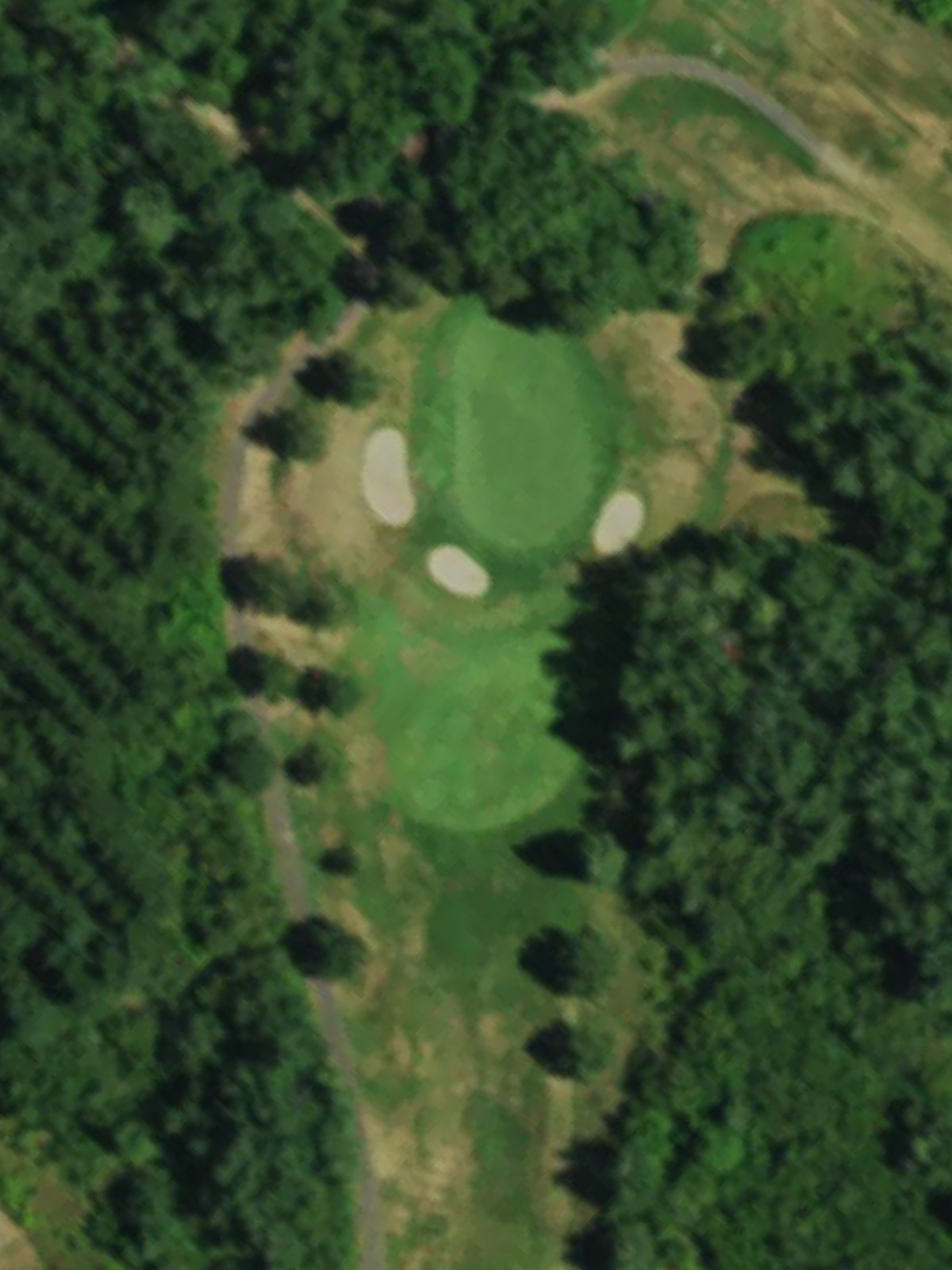 Hole 15 satellite