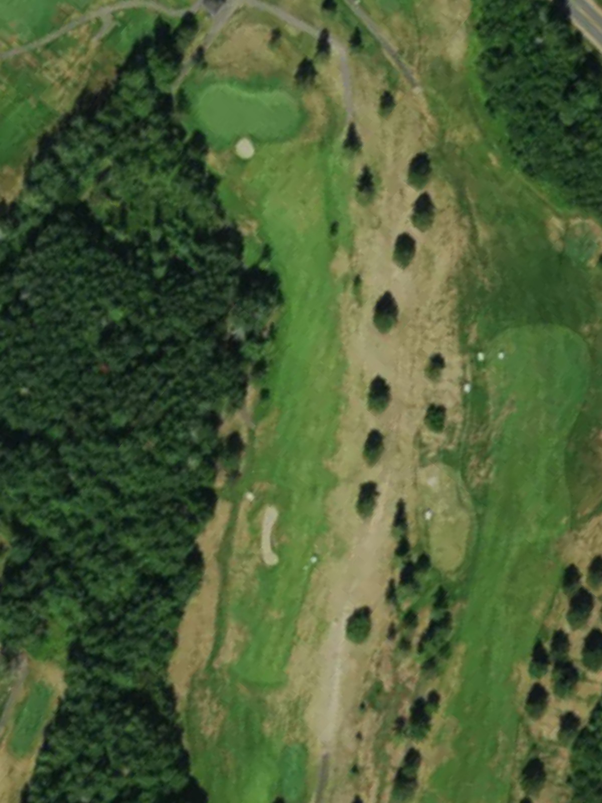 Hole 6 satellite