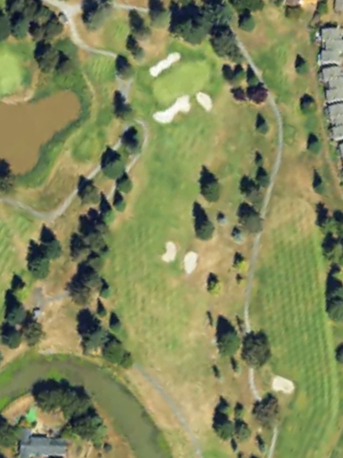 Hole 13 satellite