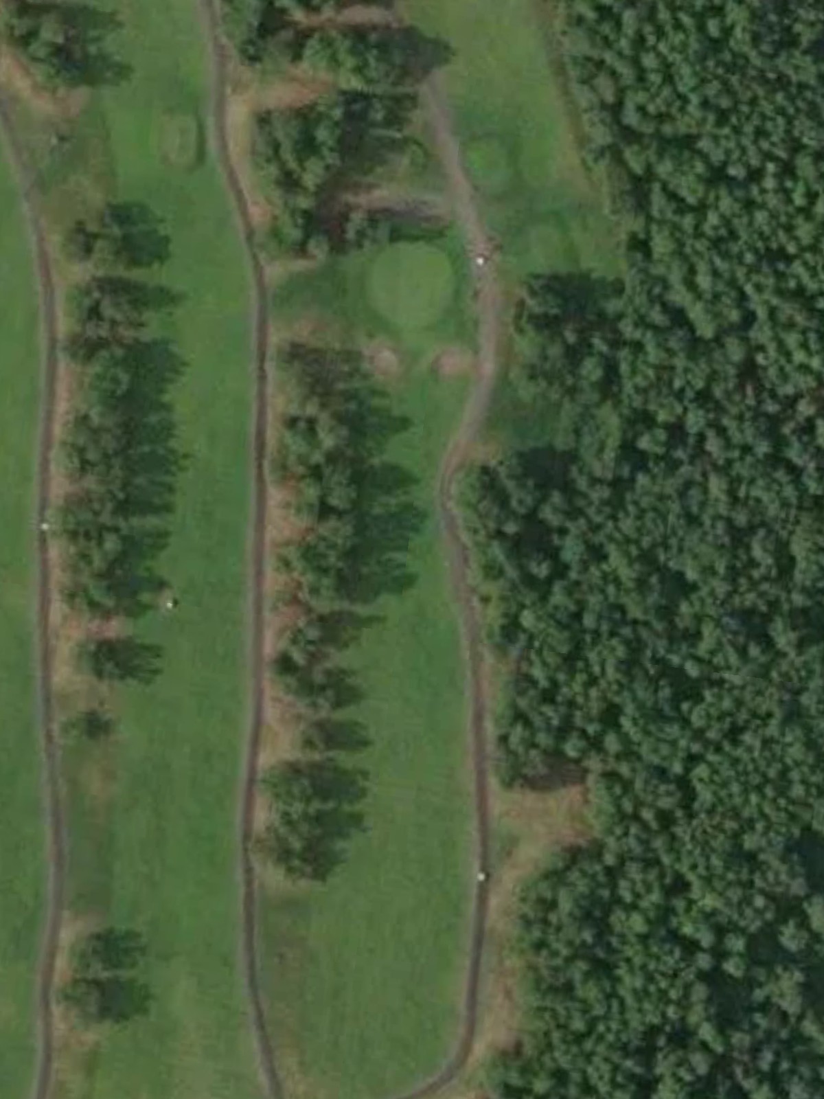 Hole 7 satellite