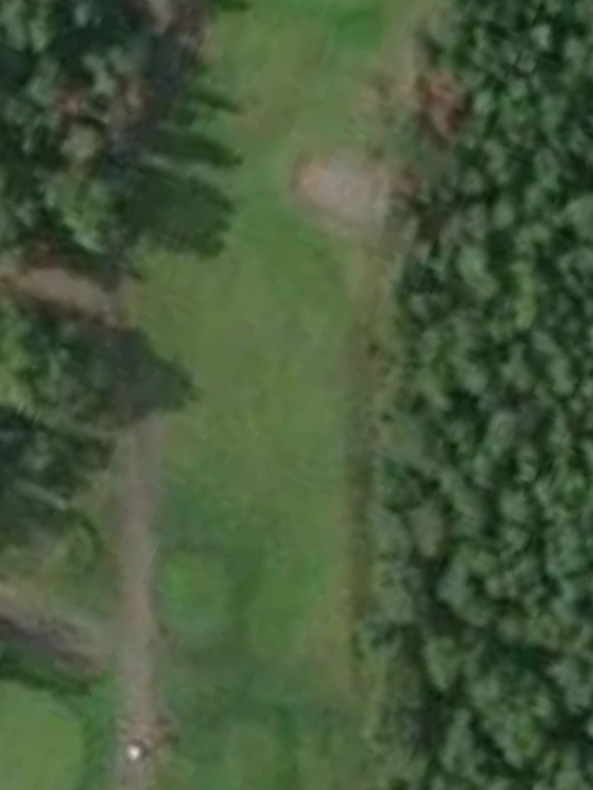 Hole 8 satellite