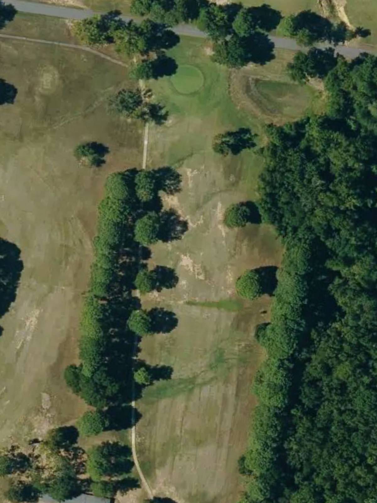 Hole 15 satellite